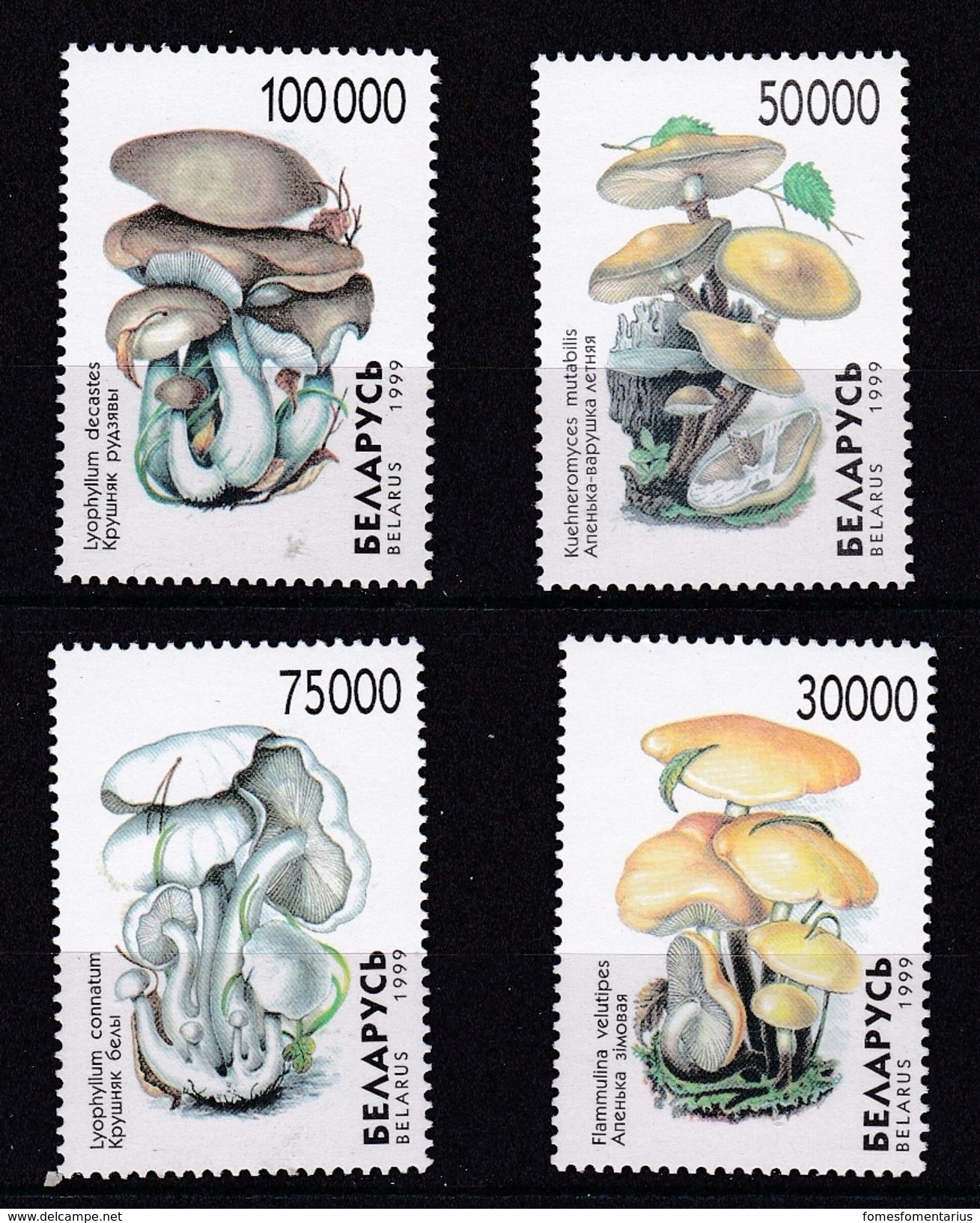 Feuillet ** TTB Neuf + 4 Timbres ** TTB   Belarussie (1999) Champignon Champignons Mushroom Setas Pilze - Champignons