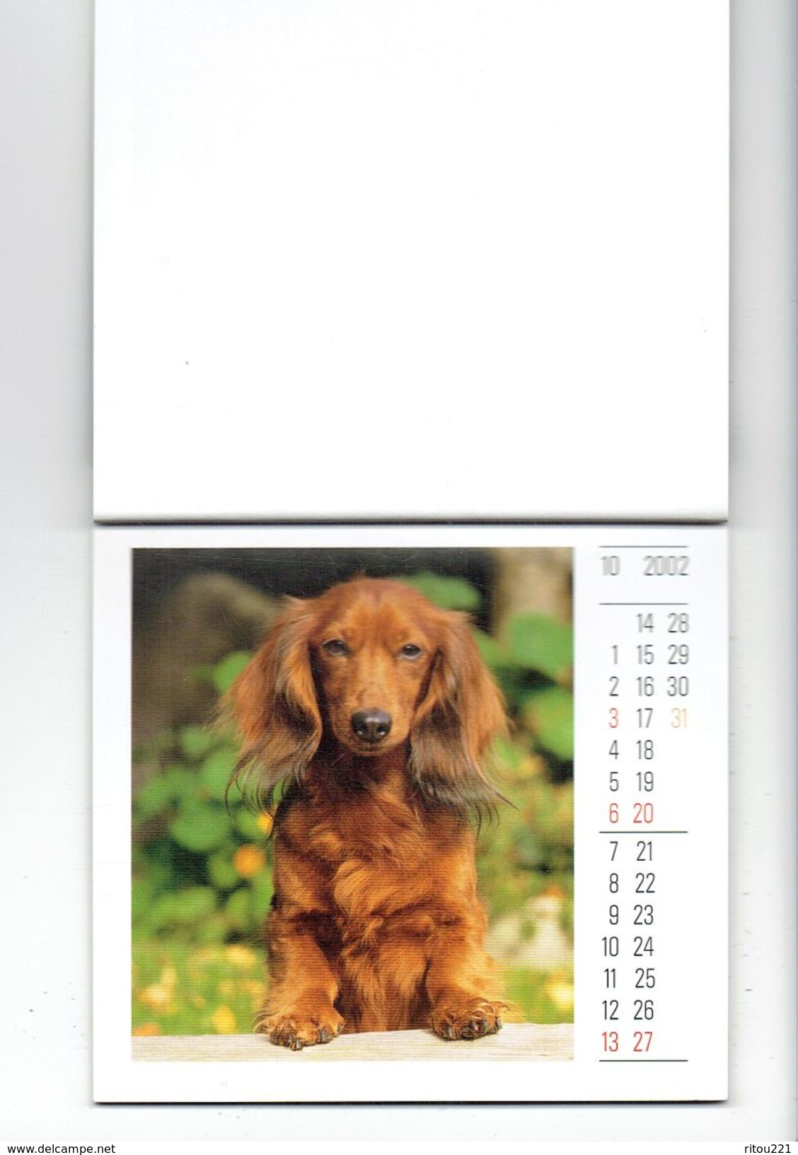 Petit Calendrier 2002 - Korsch Chien Dackel Teckels Teckel Bassotti - 12 Feuillets - Tamaño Pequeño : 2001-...