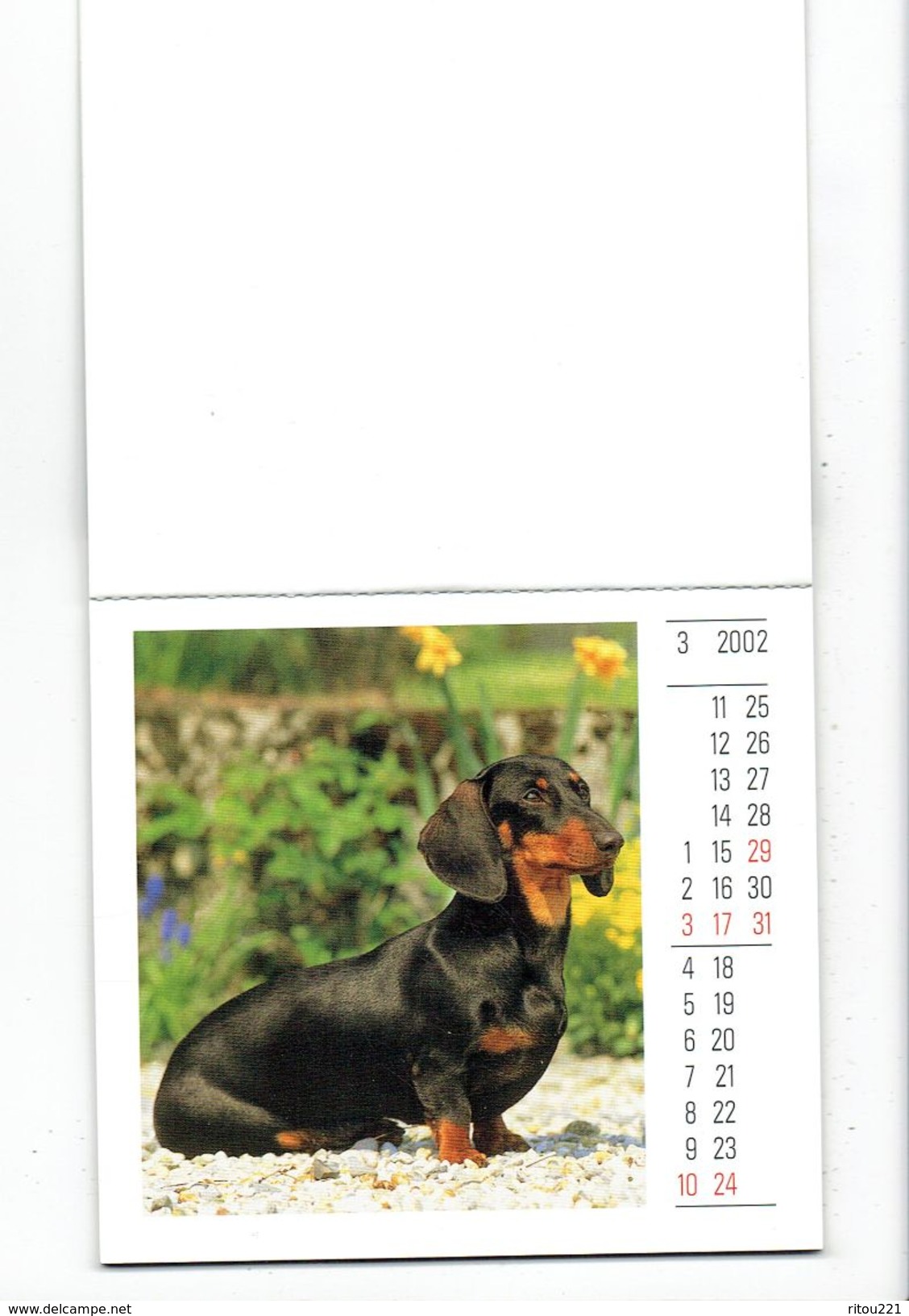 petit calendrier 2002 - Korsch Chien dackel teckels teckel bassotti - 12 feuillets