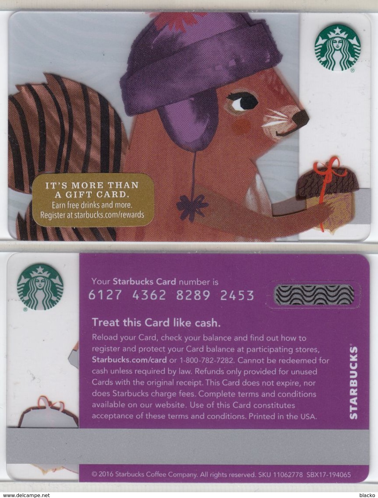 Starbucks - USA - 2016 - CN 6127 4362 Squirrel - Gift Cards