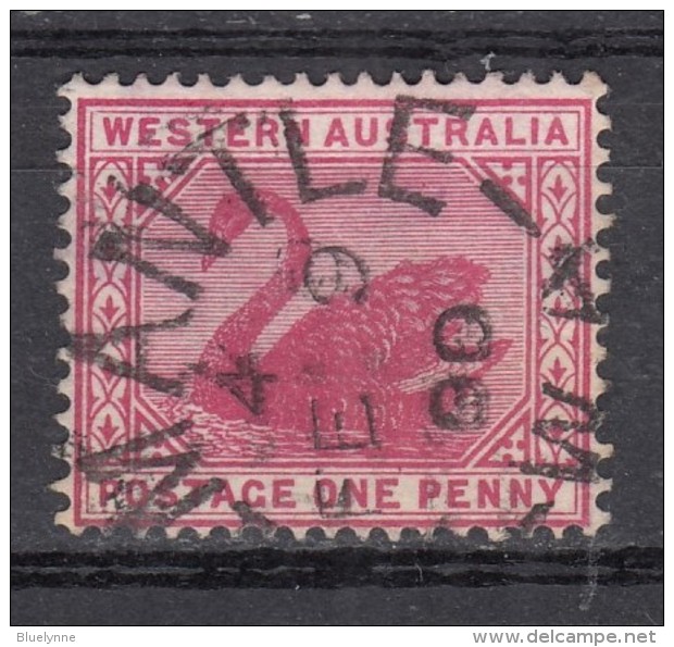 Western Australia 1 P Schwan 1898 - "..mantle" Offener 1 Kreis Stempel O - Used Stamps
