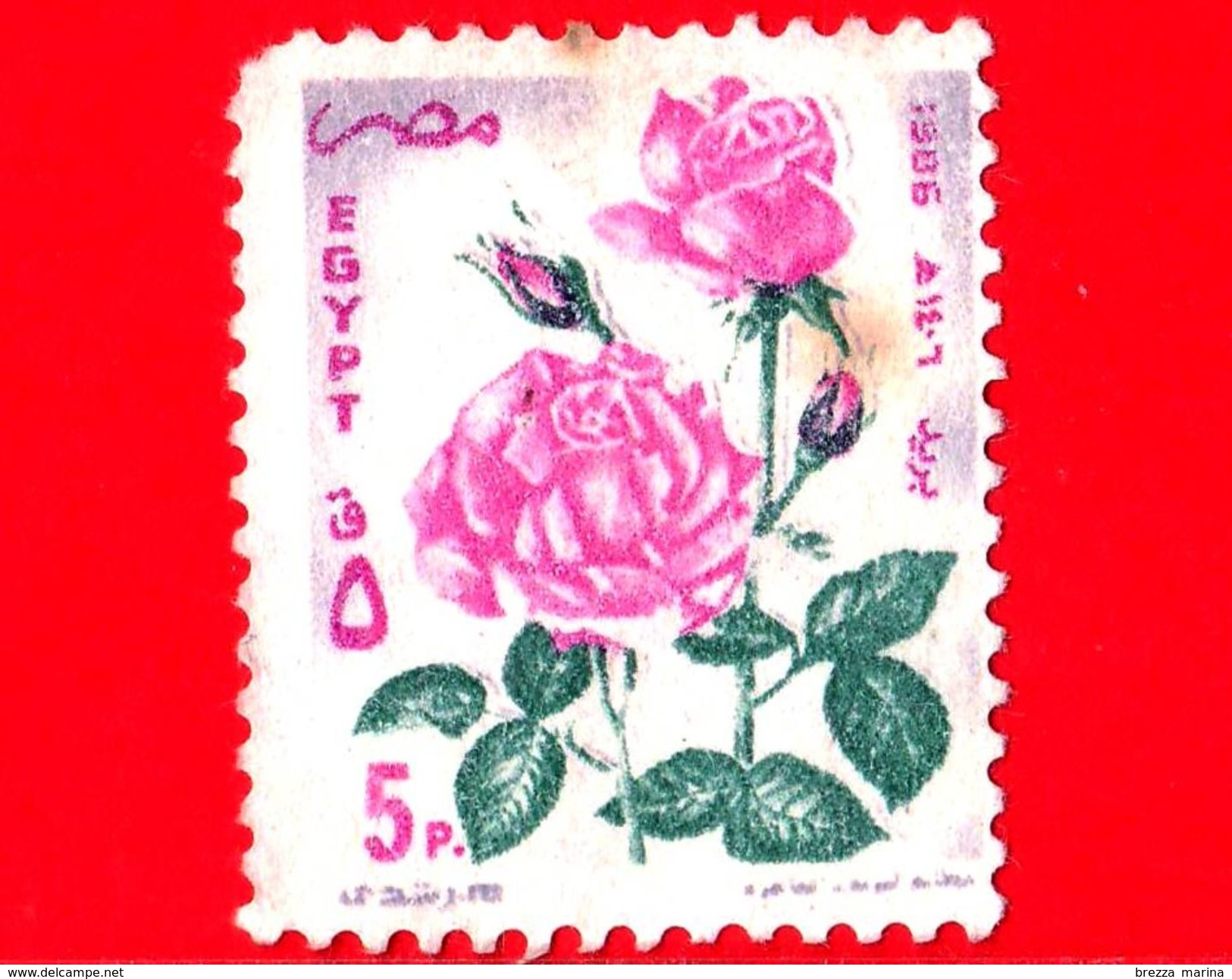 EGITTO - Usato - 1986 - Festivals - Fiore - Rosa - 5 - Used Stamps