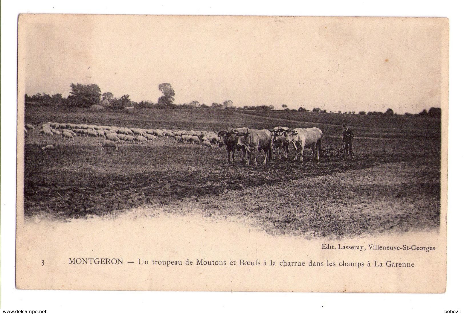 D059 - Montgeron - Un Troupeau De Moutons Et Boeufs à La Charrue Dans Les Champs à La Garenne - Ed. Lasseray - N°3 - Montgeron