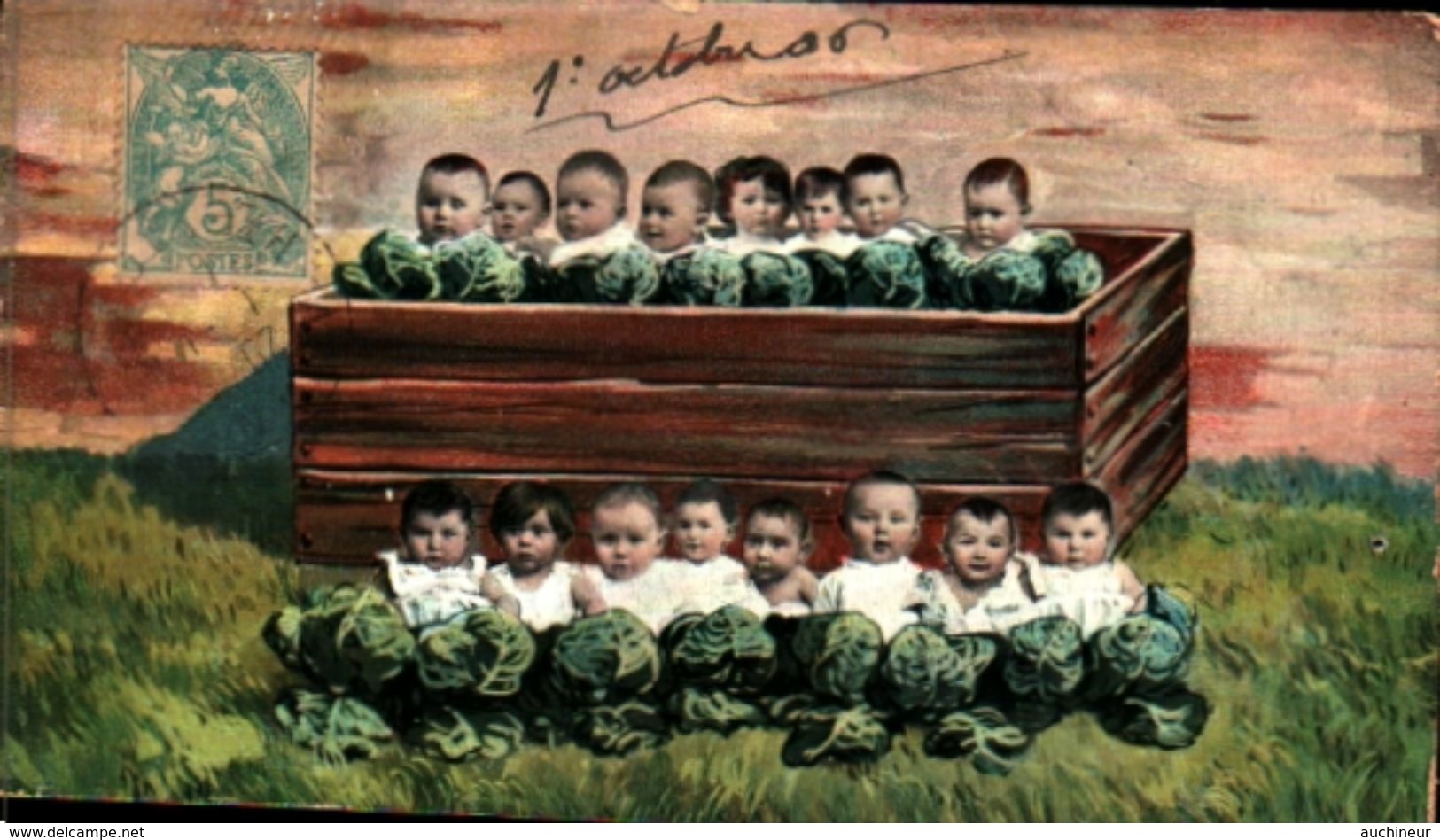 Bébés Multiples 275, Bac De Choux (carte Réduite - Babies