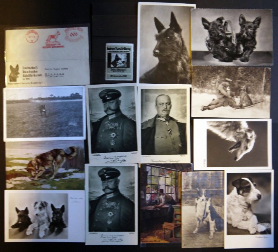 SONSTIGE MOTIVE 1913-19, Hunde, Partie Von 23 Verschiedenen Belegen, U.a. Dabei Hunde-Ersatz-Staffel (Einsatz In Serbien - Unclassified