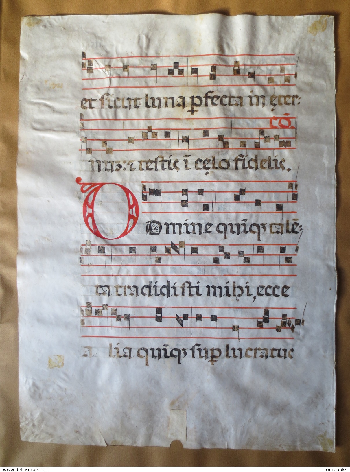 Antiphonaire XVI E Sur Vélin - Liturgie Page Rect Verso  In Folio Avec Lettrine Bleue S - Manuscripts