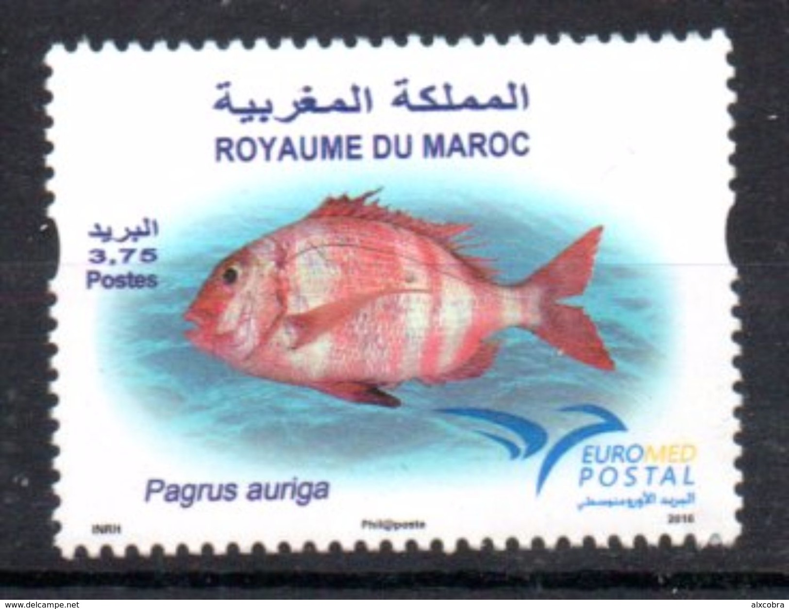 Morocco EUROMED Joint Issue Fish Of The Mediterranean 2016 MNH - Emisiones Comunes