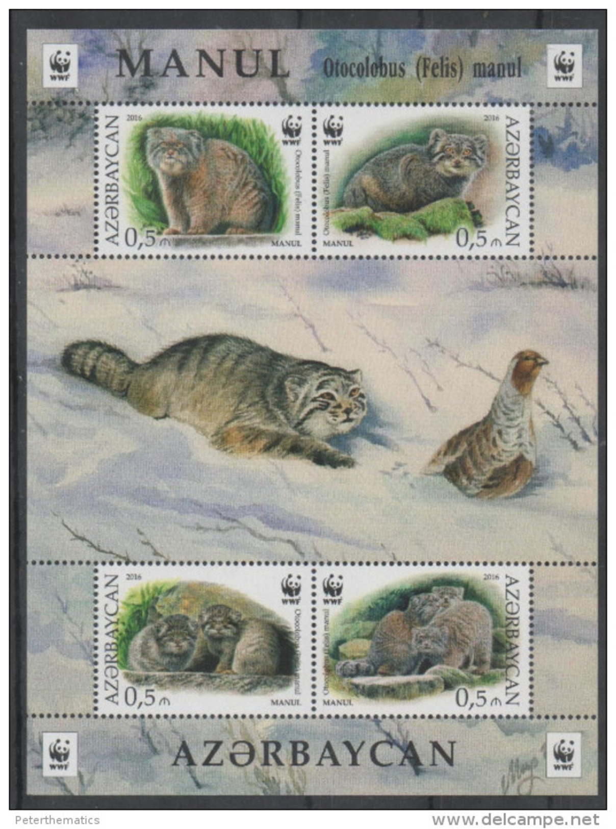 AZERBAIJAN, 2016, MNH, WWF, WILD CATS, MANUL SHEETLET OF 1 SET - Other & Unclassified