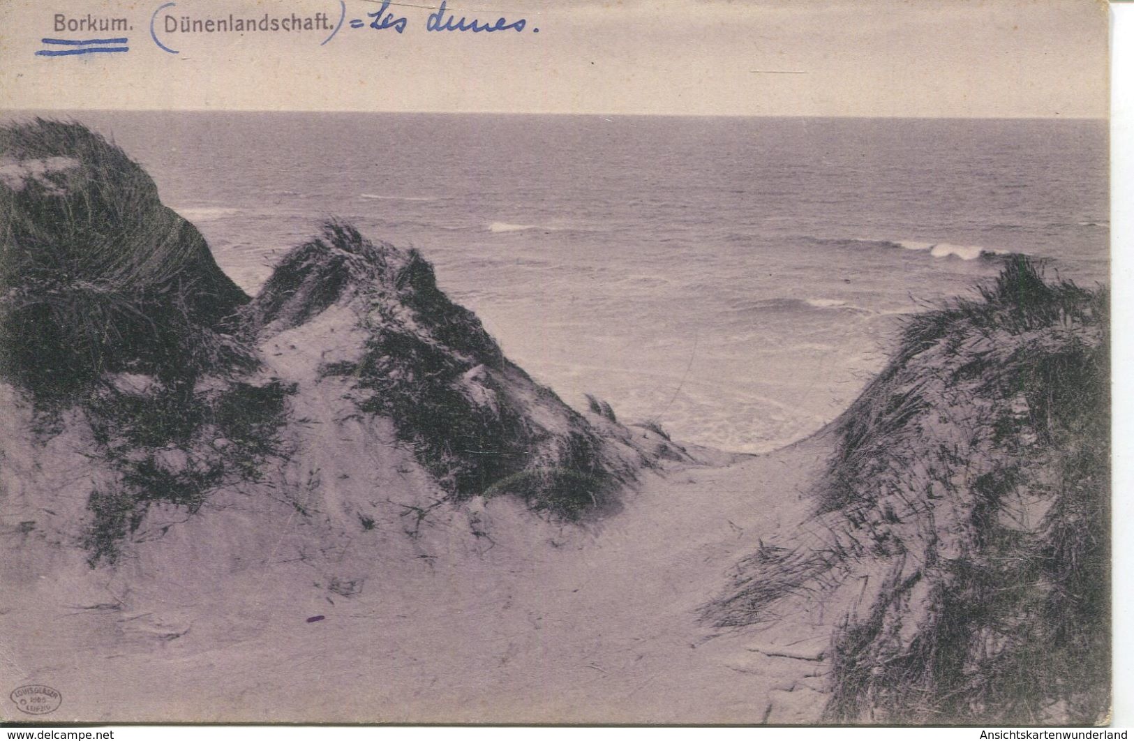 Borkum - Dünenlandschaft 1906 Mit Zugstempel (002482) - Borkum