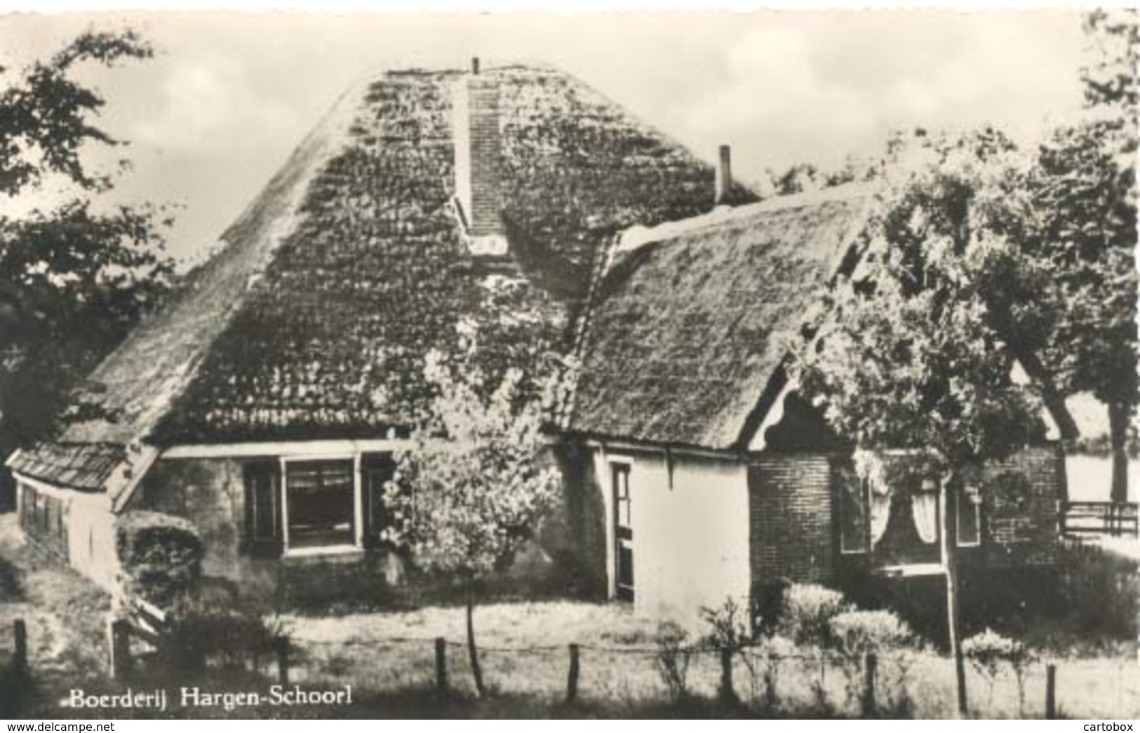 Hargen - Schoorl, Boerderij   (type Fotokaart) - Schoorl