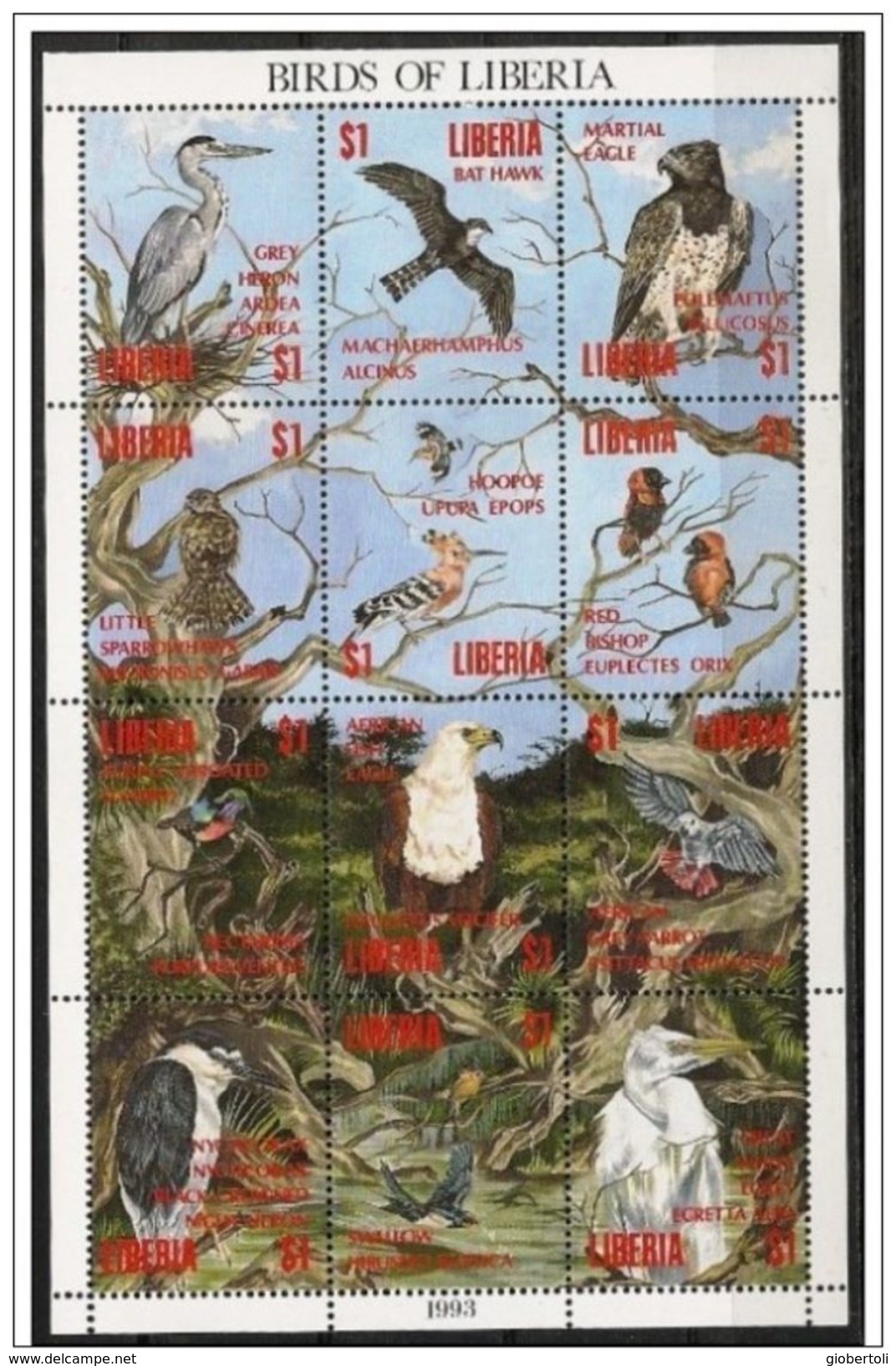 Liberia/Libéria: Uccelli Della Liberia, Birds Of Liberia, Oiseaux Du Libéria - Altri & Non Classificati