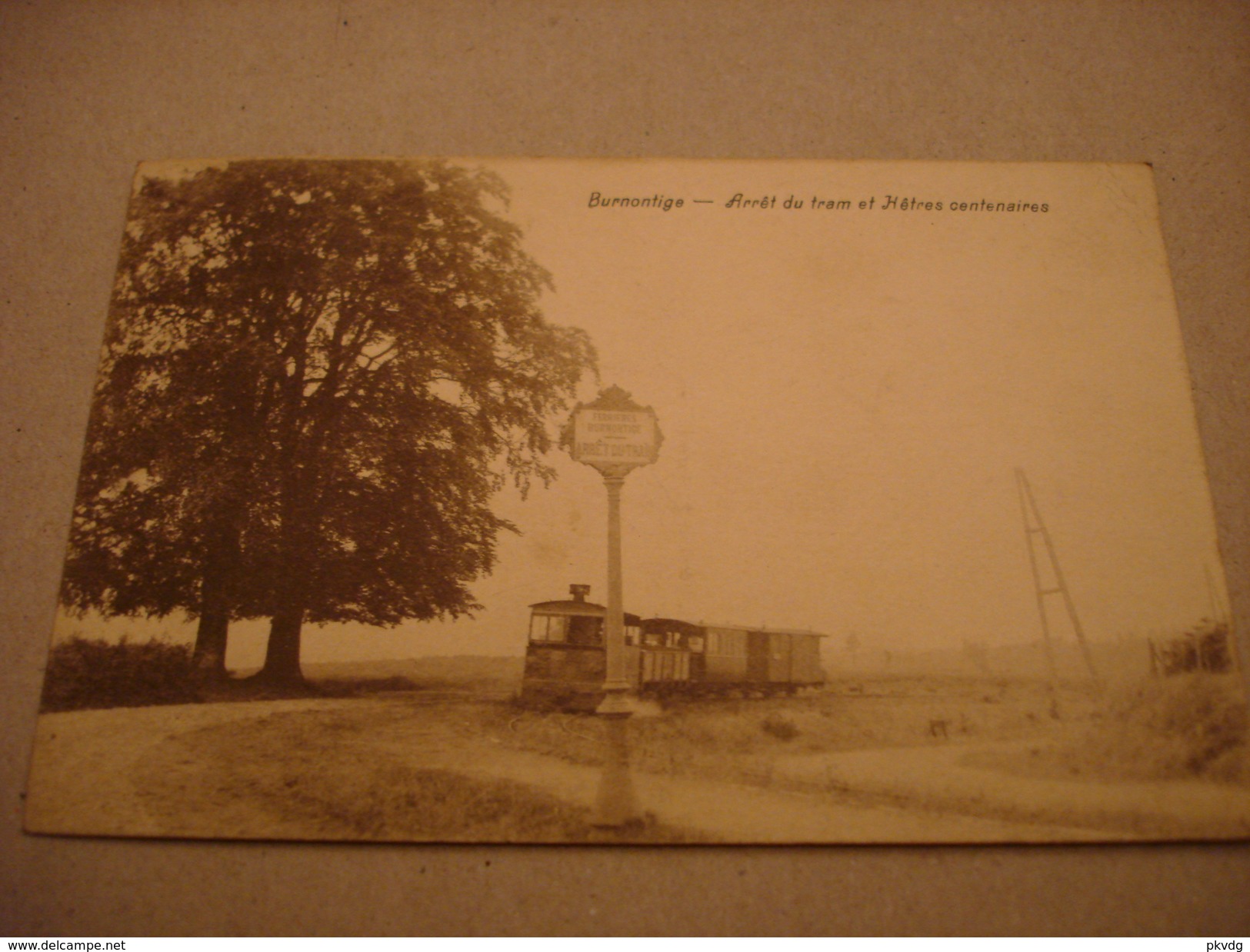 Burnontige. Arrêt Du Tram Et Hêtres Centenaires. - Autres & Non Classés