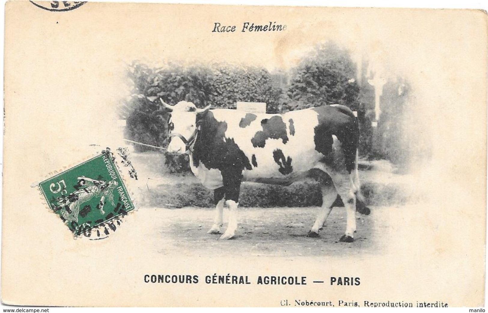 CONCOURS GENERAL AGRICOLE - PARIS  1913 -  VACHE DE RACE FEMELINE - Circulé De PARIS à N.D. De COURSON (calvados) - Exposiciones