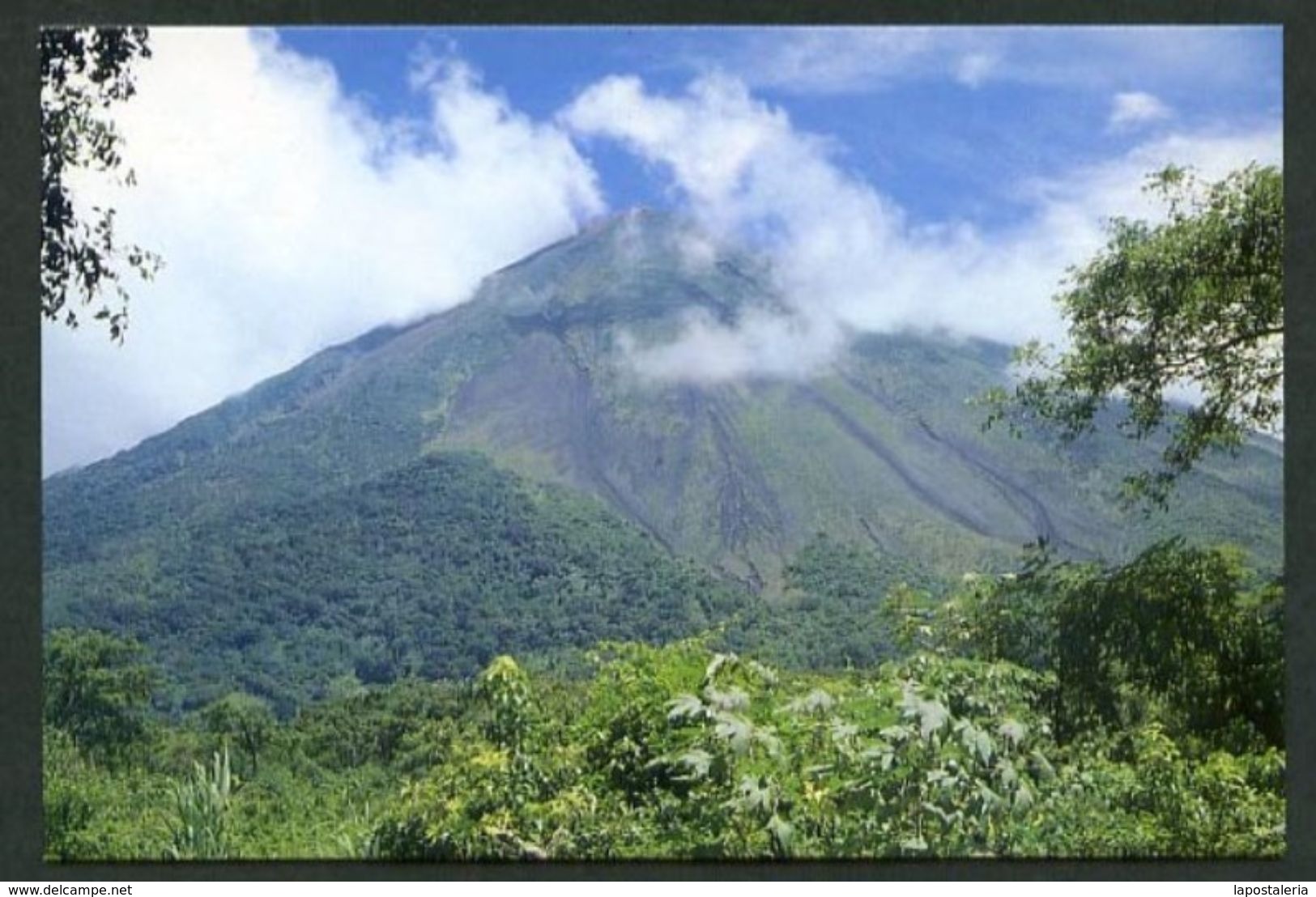 Nicaragua. Isla De Ometepe. *Volcán* Nueva. - Nicaragua