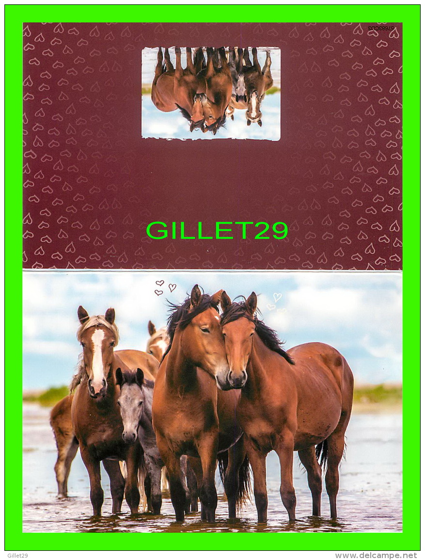 CHEVAUX - HORSES -  UNE FAMILLE EN AMOUR - CARTE DOUBLE - - Chevaux