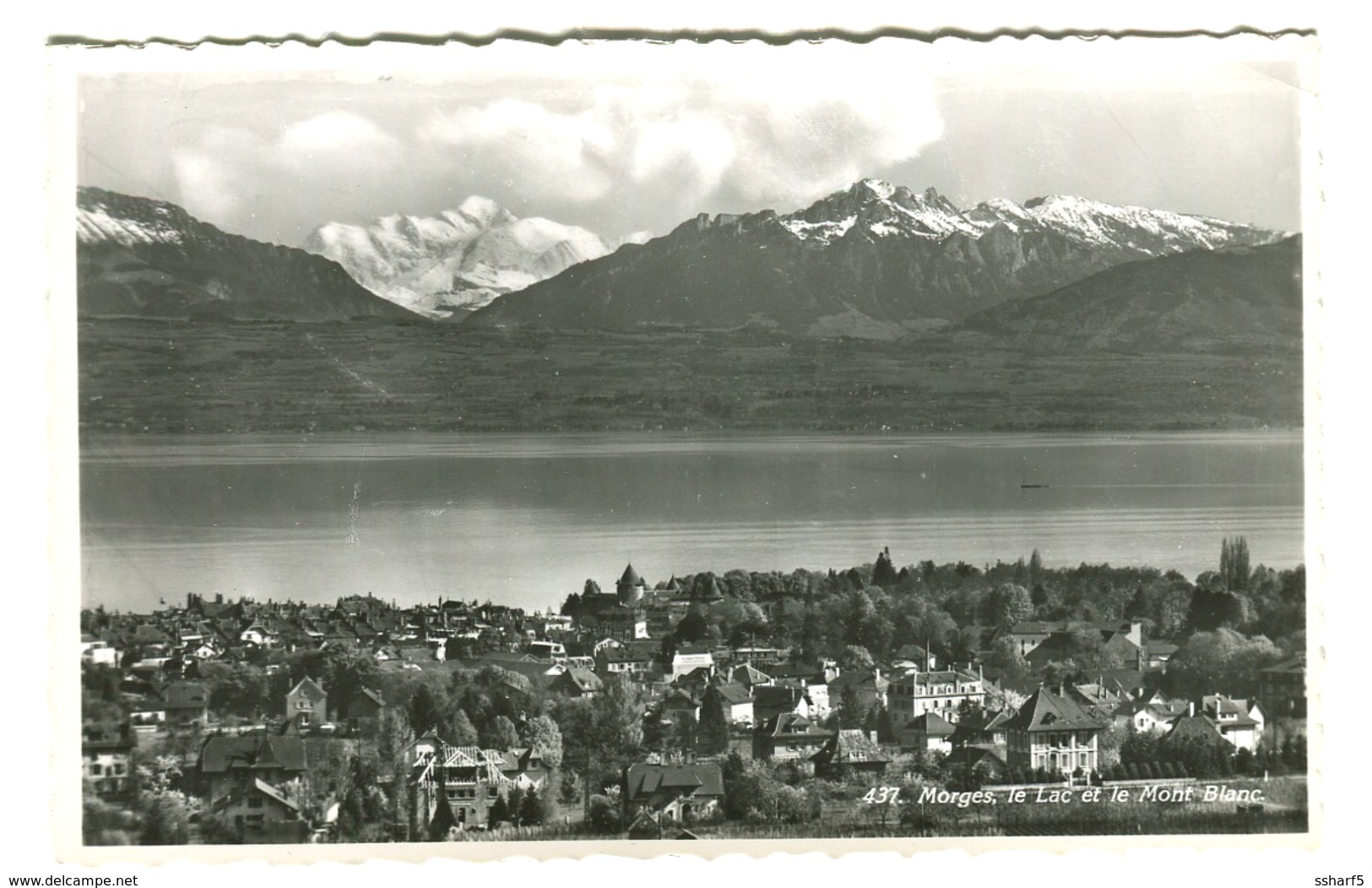 Panorama Morges Vrai Photo Env. 1920 - Morges