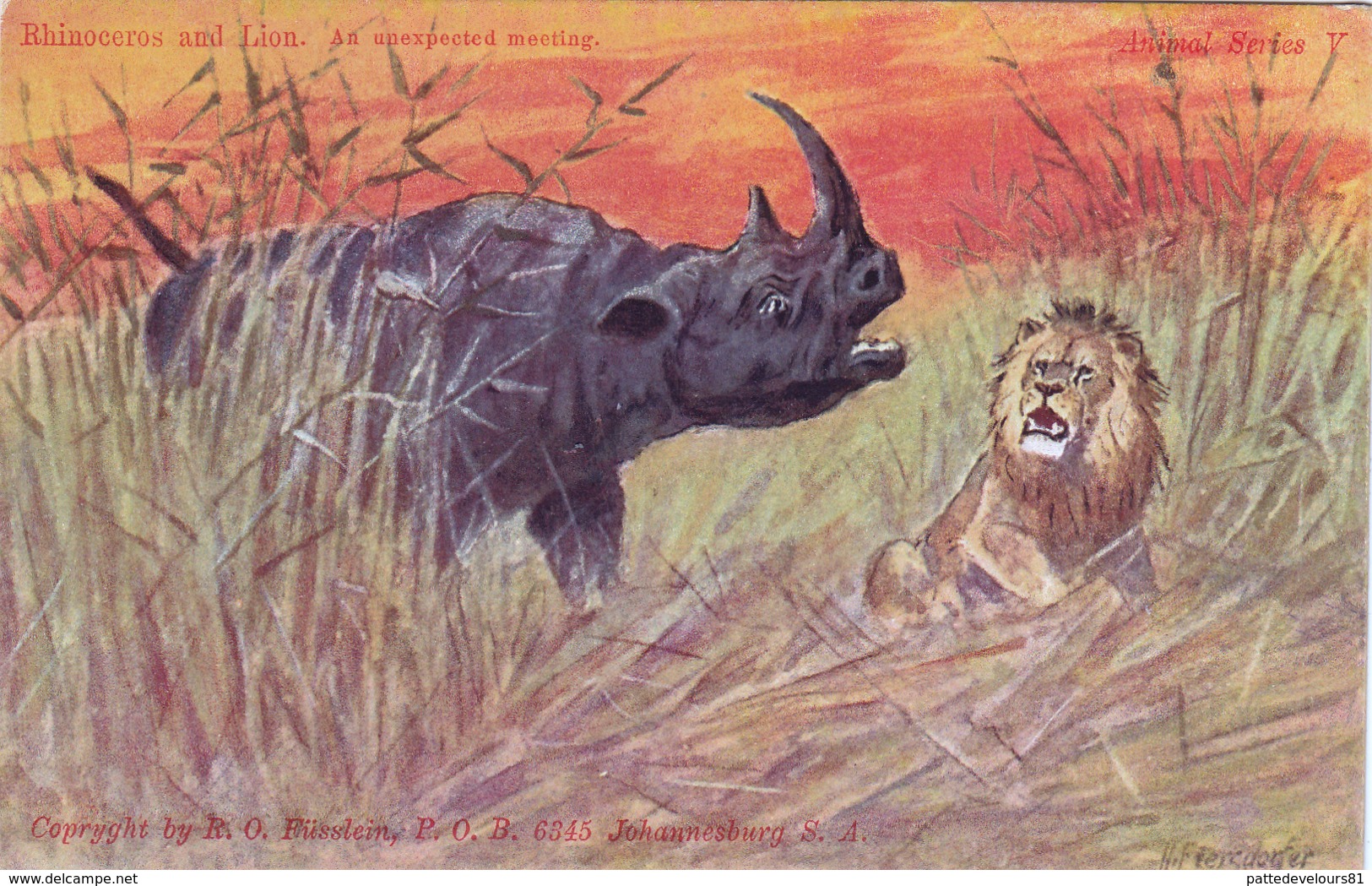 CPA Animaux Sauvages Rhinocéros Faisant Fuir Un Lion Nashorn Rinoceronte Hocopor Leon Löwe Illustrateur - Rhinocéros