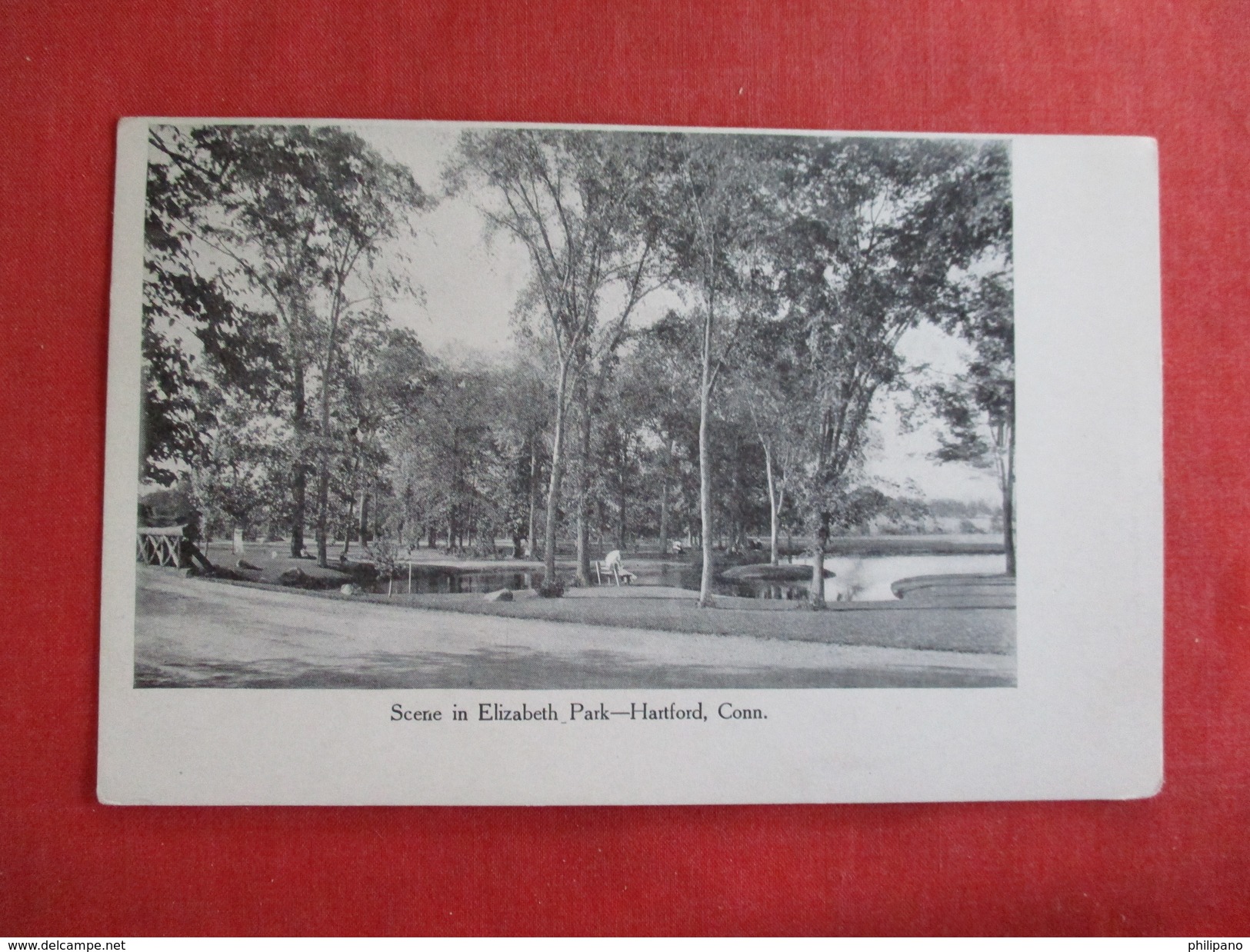 Private Mailing Card    - Scene In Elizabeth Park Connecticut > Hartford  Ref 2761 - Hartford