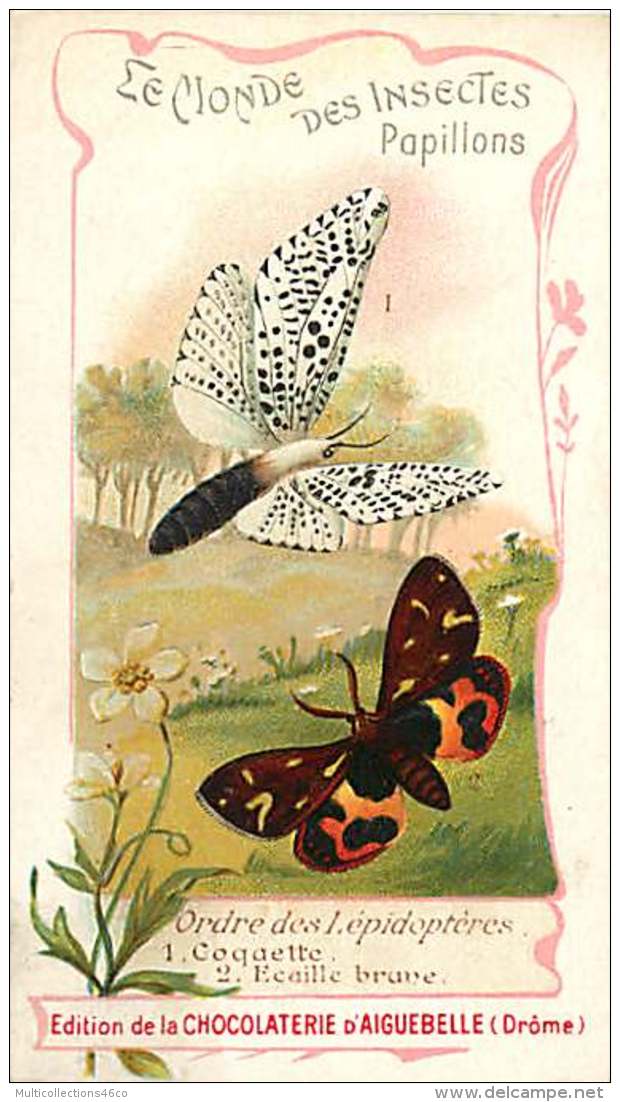 191217C CHROMO CHOCOLAT AIGUEBELLE Drôme  Monde Des Insectes Et Papillons Lépidoptères Coguette écaille Brune - Aiguebelle