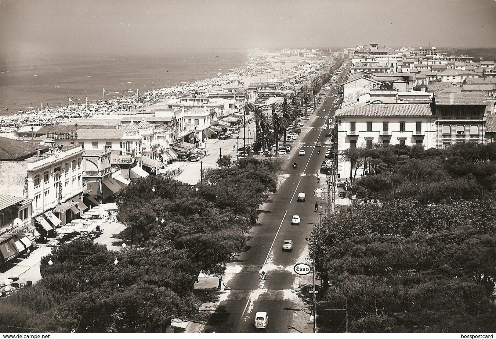 Viareggio - REAL PHOTO (12,0 X 18,0 Cm) - Panorama - Automobili - Old Cars - Voitures -  Lucca - Italia - Viareggio