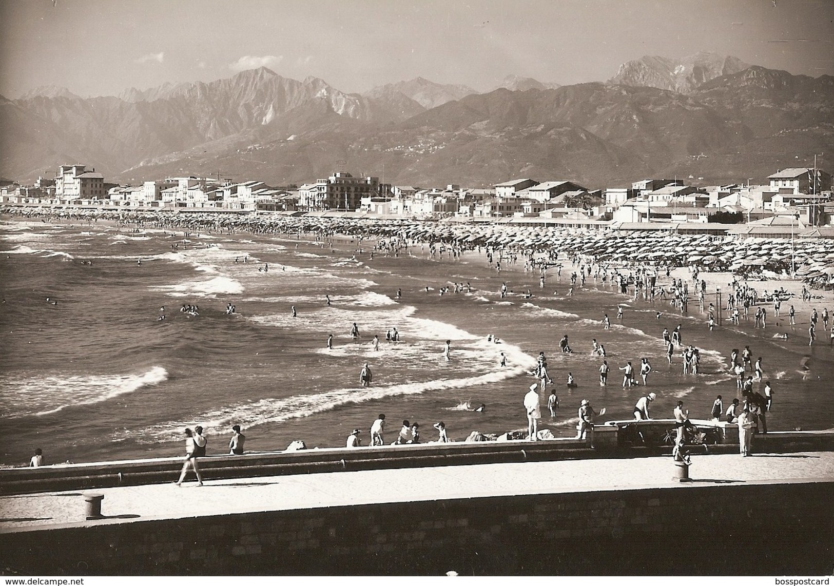 Viareggio - REAL PHOTO (12,0 X 17,0 Cm) - Panorama - Spiaggia - Lucca - Italia - Viareggio