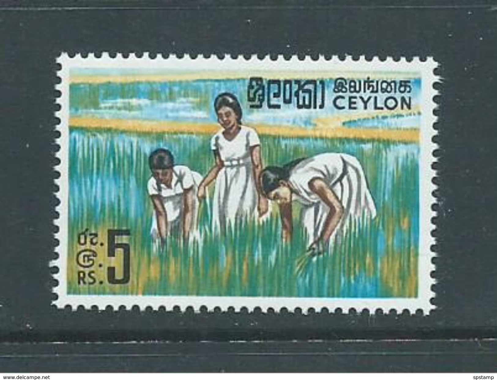 Ceylon Sri Lanka 1969 5 Rupee Rice Picking Definitive MNH - Sri Lanka (Ceylon) (1948-...)