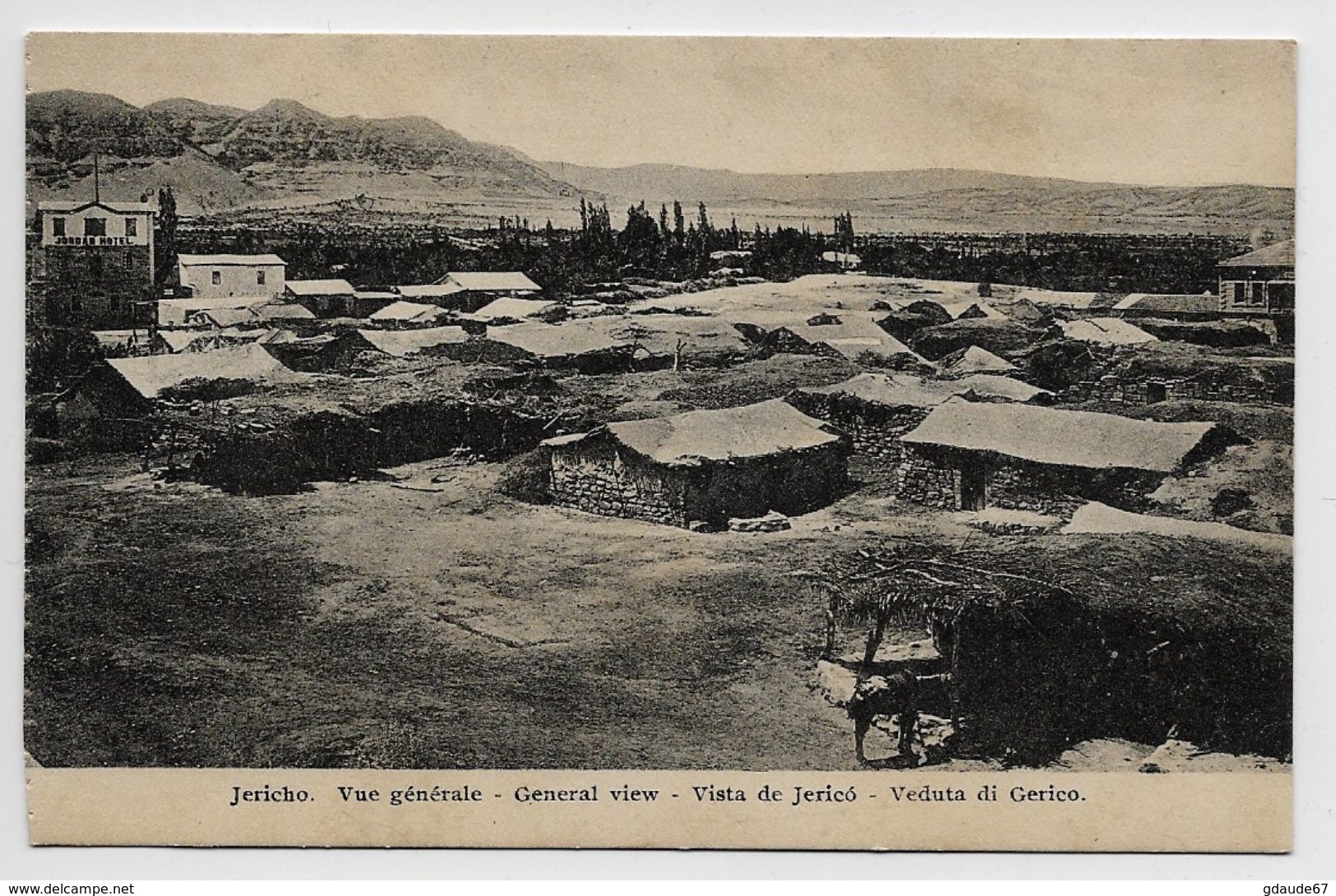 JERICHO / JERICO - VUE GENERALE - Palestina