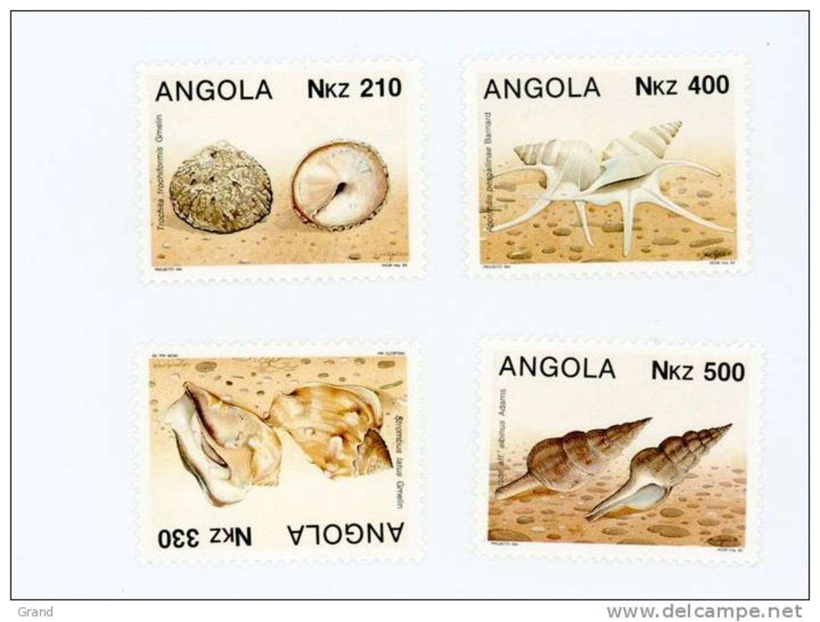 Angola--1993-Coquillages- Yt 884/7***MNH - Coneshells