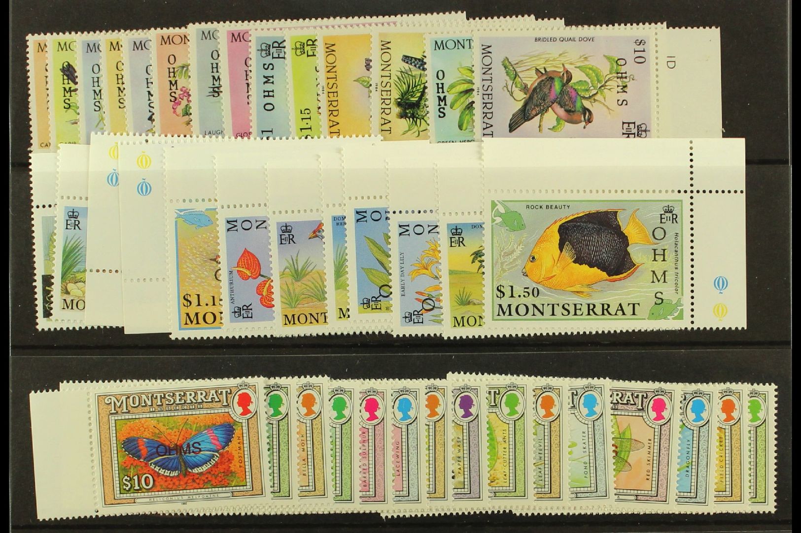 OFFICIALS 1985, 1992 & 1993 "OHMS" Overprints Complete Sets, SG O62/75, O94/105 & O106/20, Never Hinged Mint, Fresh. (41 - Montserrat