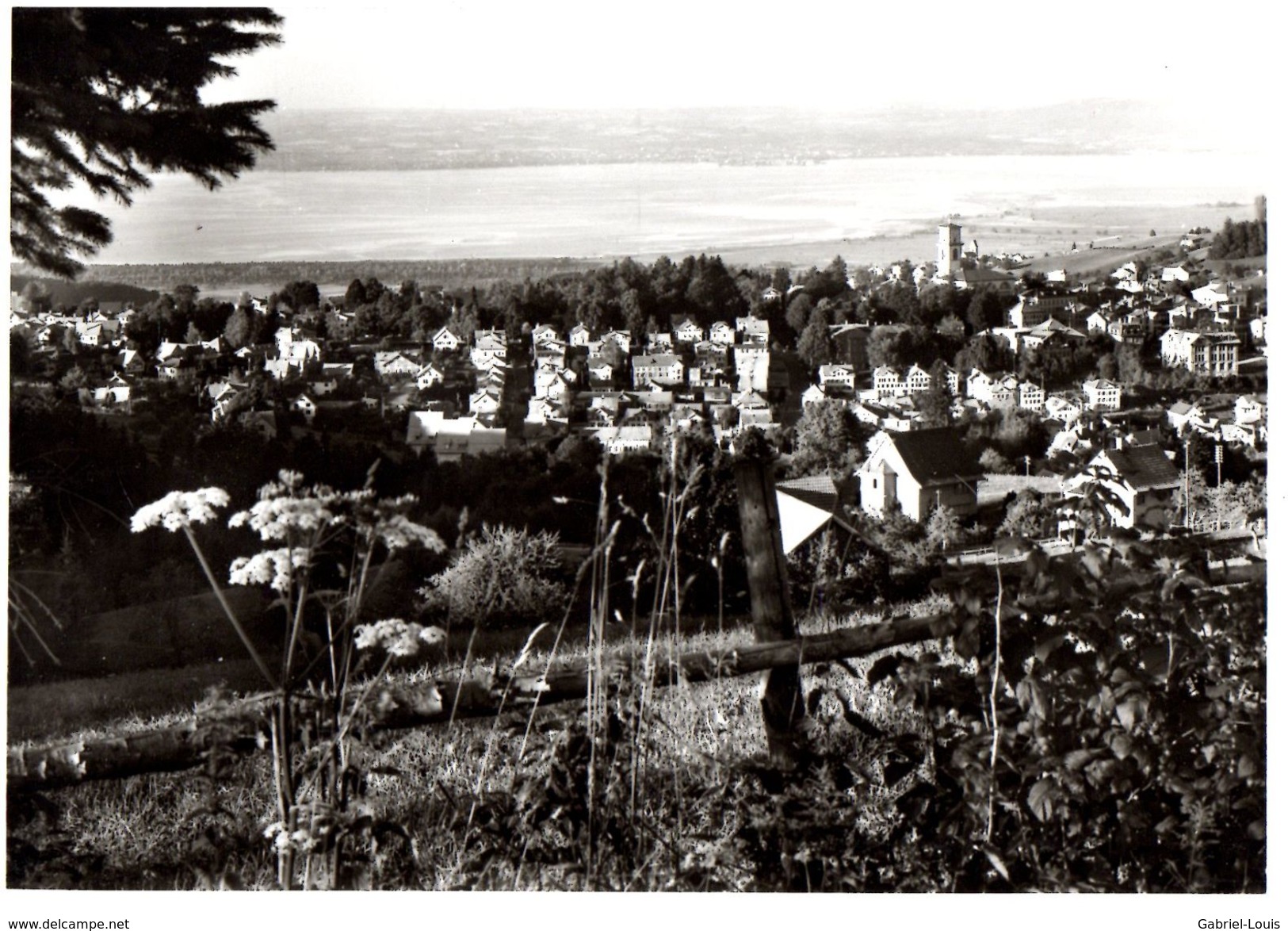 Luftkurort Heiden, Blick Aud Den Bodensee Mit Lindau.  (carte Grand Format ) - Heiden