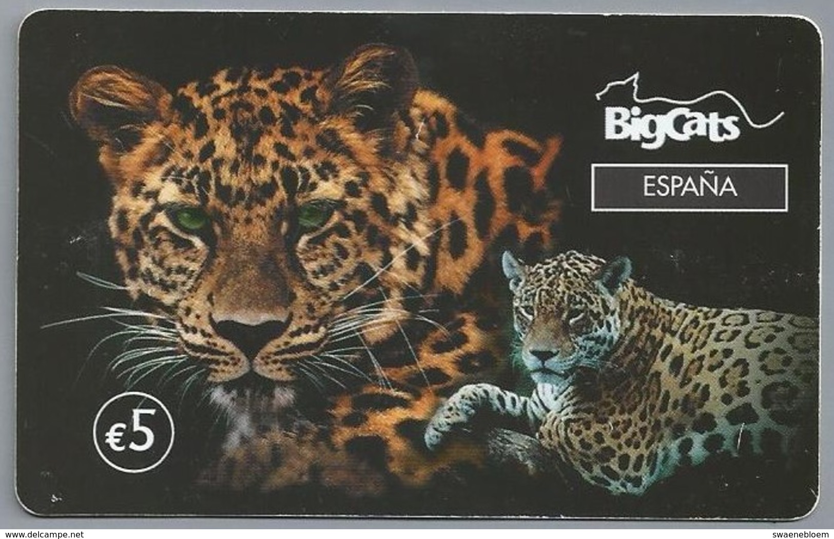 ES.- INTERNATIONAL PHONECARD - BigCats. Espana.  5 Euro -  2 Scans. - Andere & Zonder Classificatie