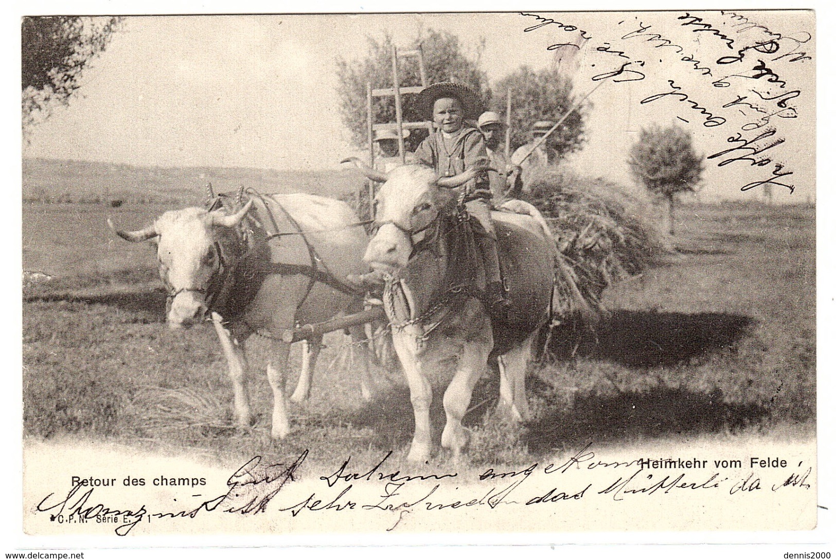 ATTELAGE DE BOEUFS - Retour Des Champs - Heimkehr Vom Felde - AGRICULTURE - Carte Suisse - Spannen