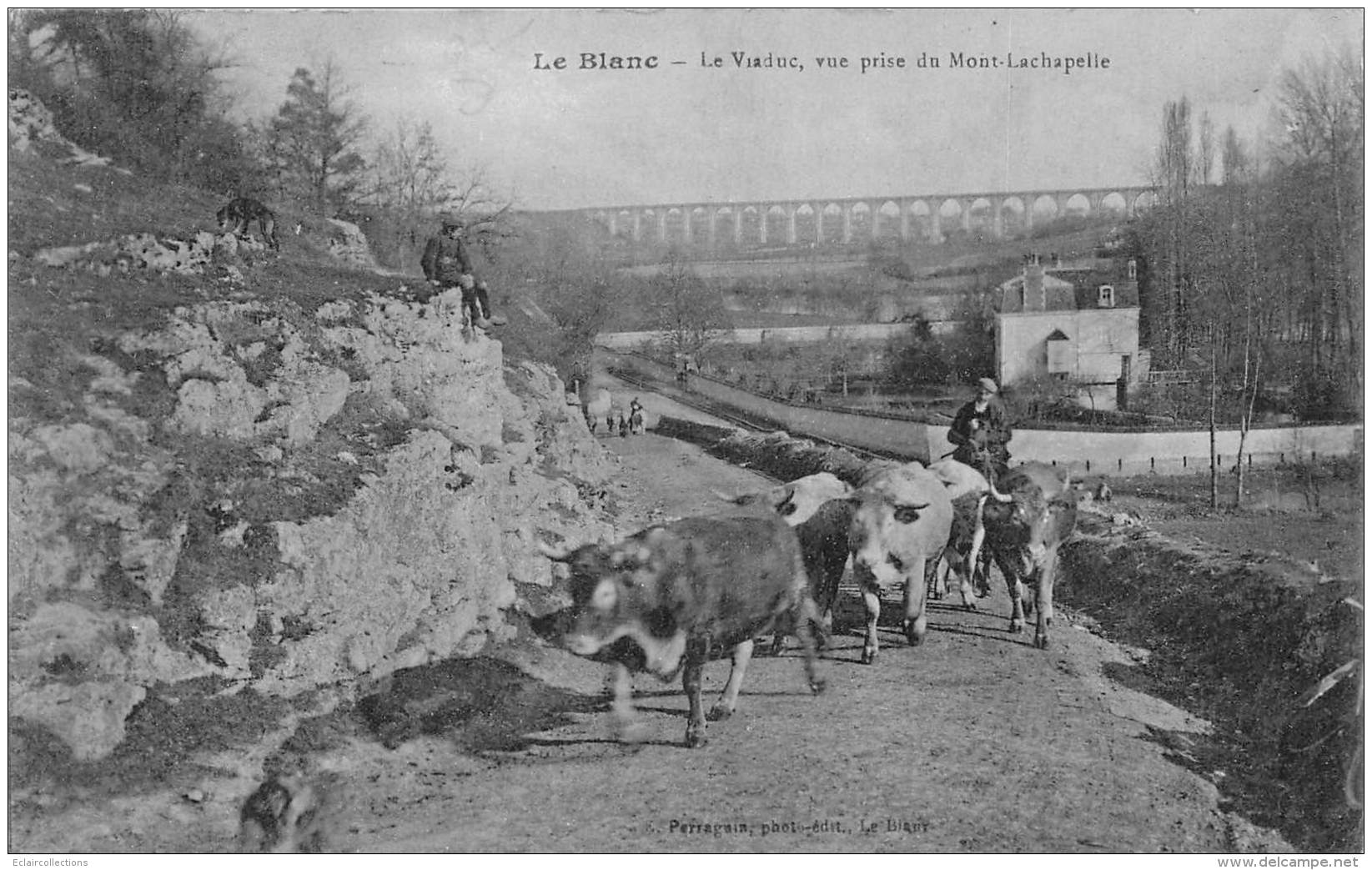 Le Blanc    36         Viaduc Vue Prise Du Mont Lachapelle.  Troupeau De Vaches     (voir Scan) - Le Blanc