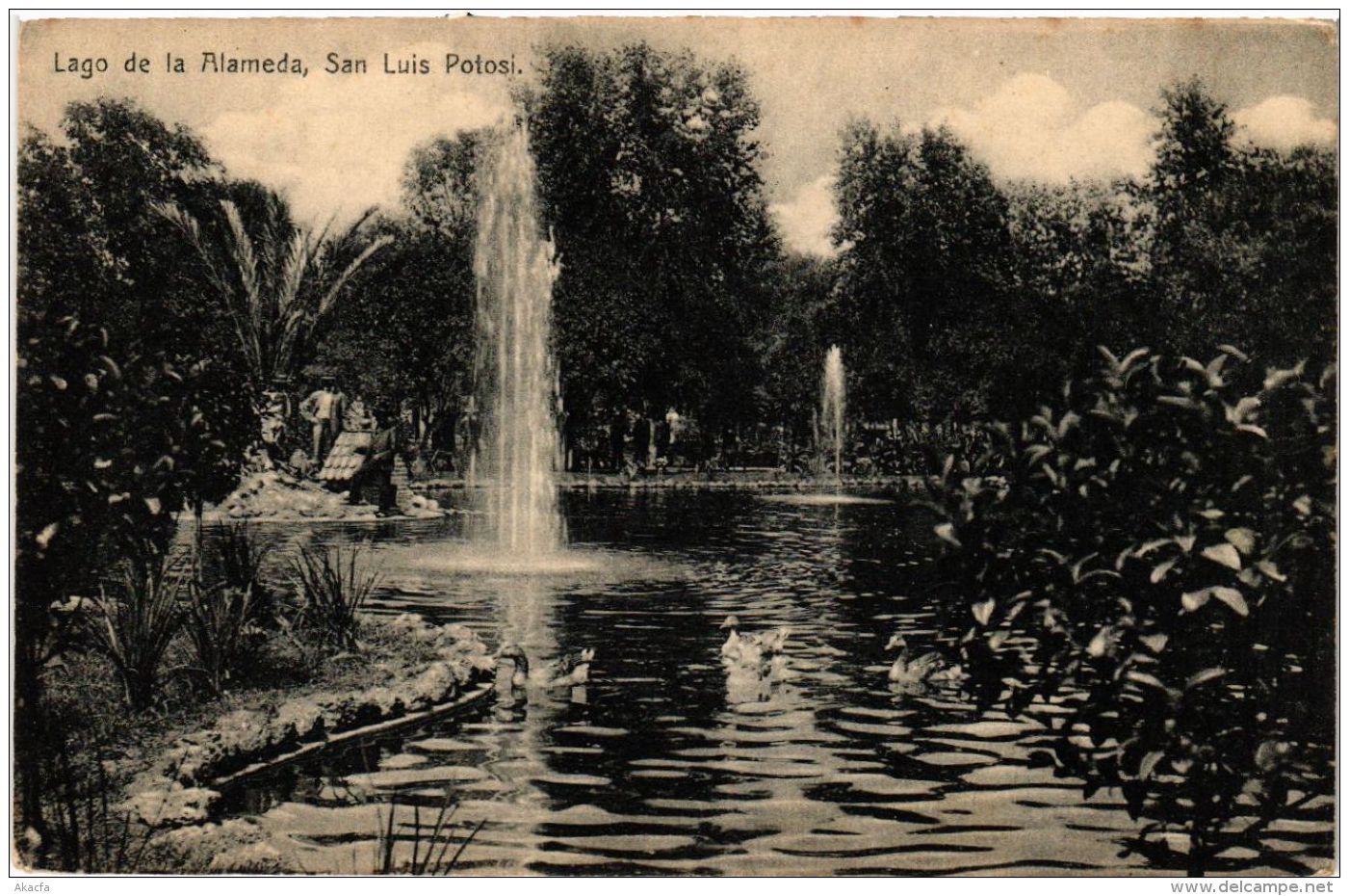 CPA Lago De La Alameda, San Luis Potosi MEXICO (598727) - México