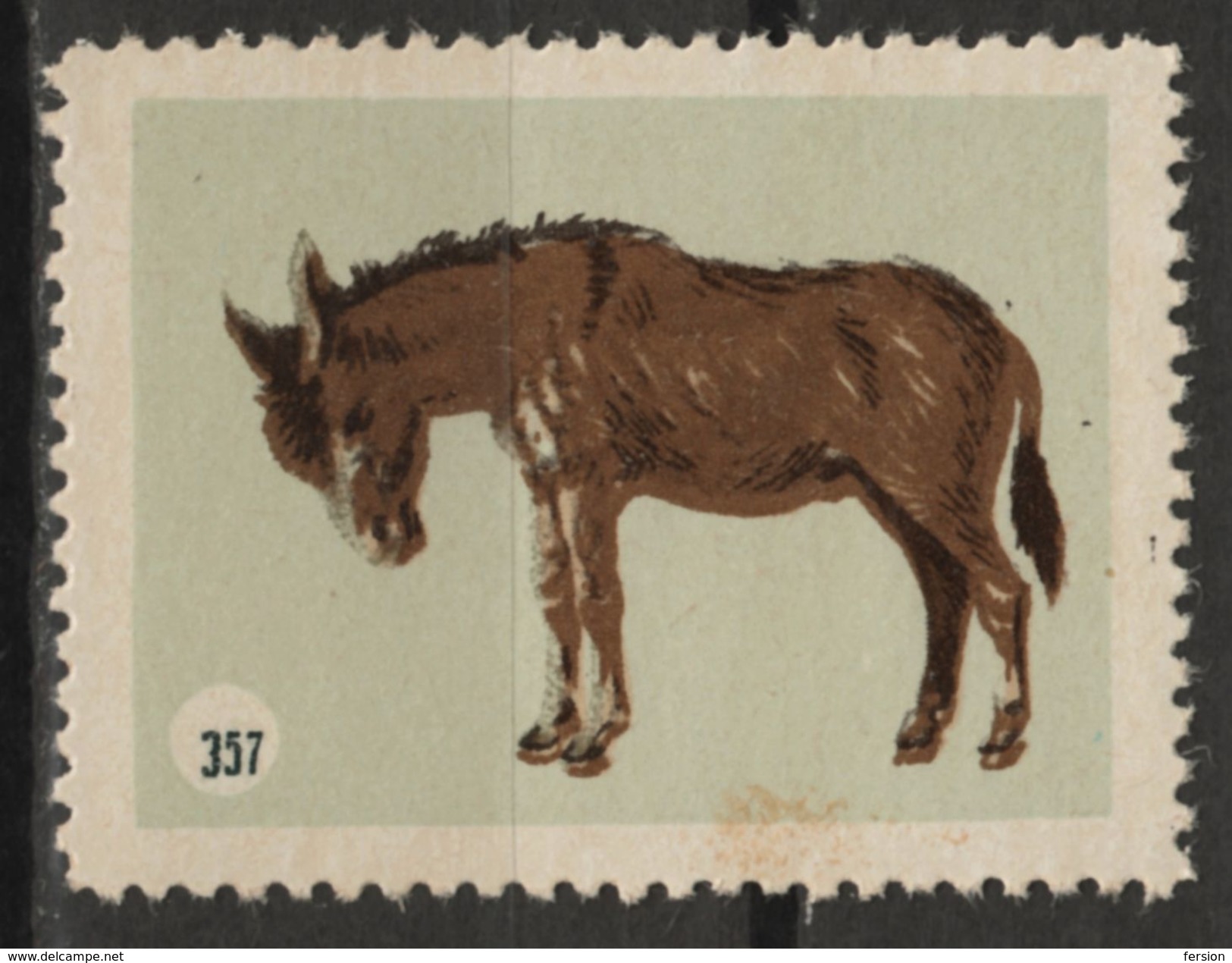 Donkey Ass - Animal - 1950's Hungary - LABEL / CINDERELLA / VIGNETTE - MH - Esel