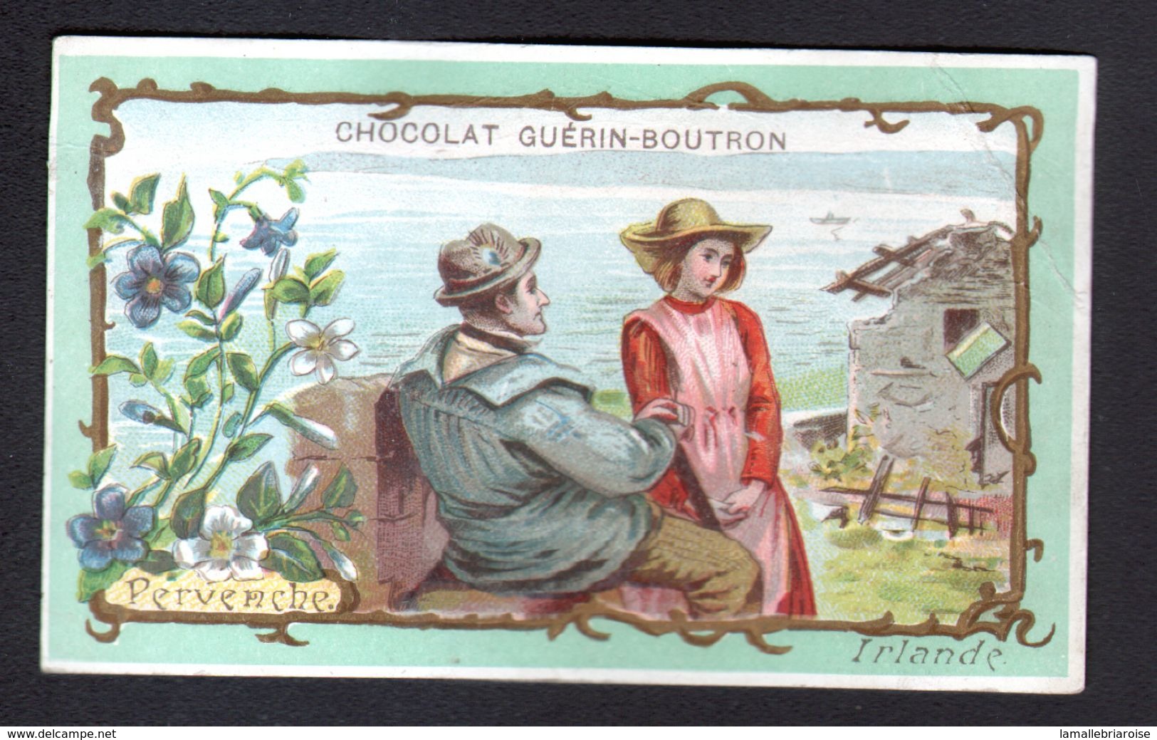 Chocolat Guerin Boutron, ..., IRLANDE, PERVENCHE - Guerin Boutron