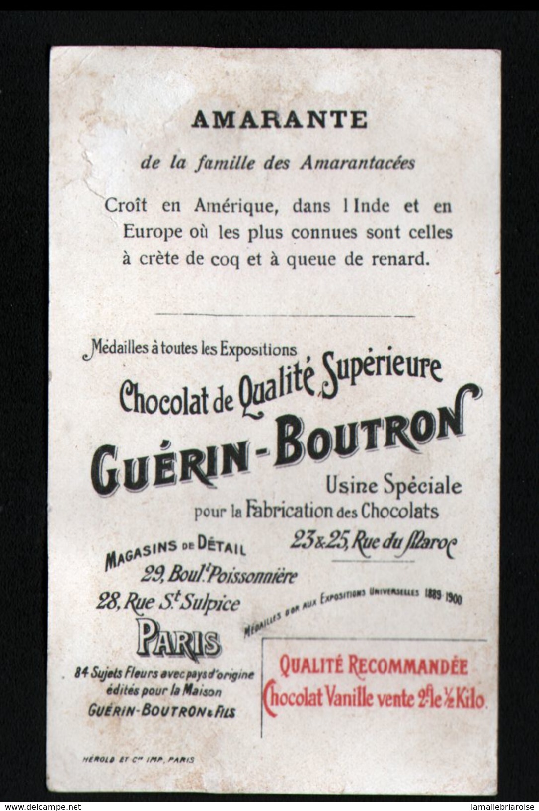 Chocolat Guerin Boutron, ..., AUTRICHE, AMARANTE - Guerin Boutron