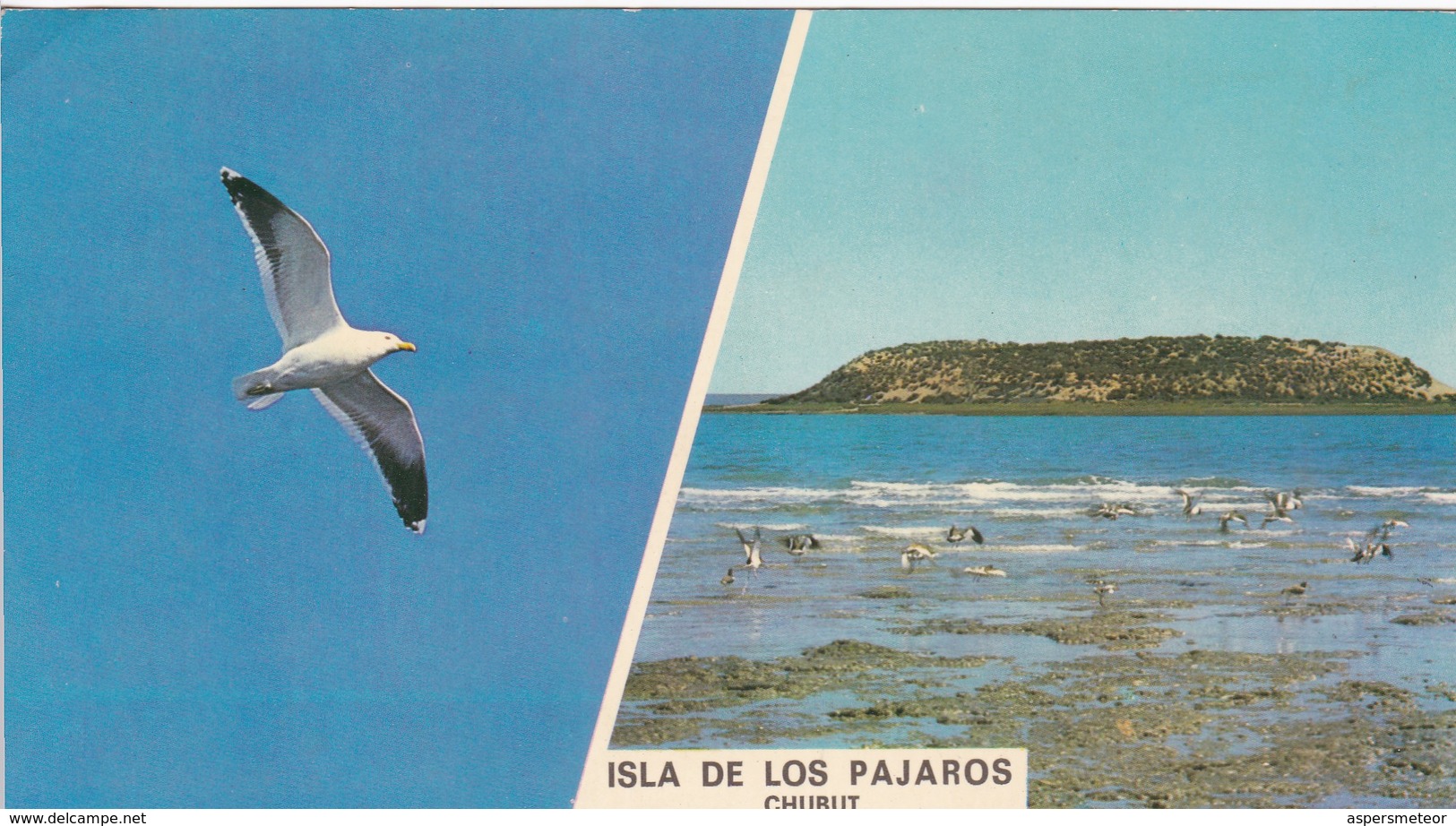 ISLA DE LOS PAJAROS FRENTE A LA PENINSULA VALDES, PUERTO MADRYN, CHUBUT.  ED LIZ COLOR. ARGENTINE -BLEUP - Argentine