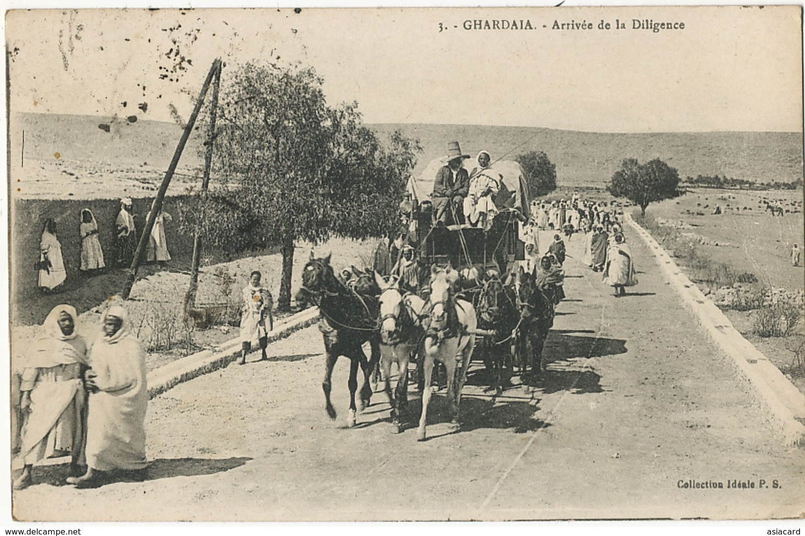 Ghardaia 3  Arrivée De La Diligence  Attelage 7 Chevaux . Timbrée Ghardaia  Vers Fontenay Sous Bois 94 - Ghardaia