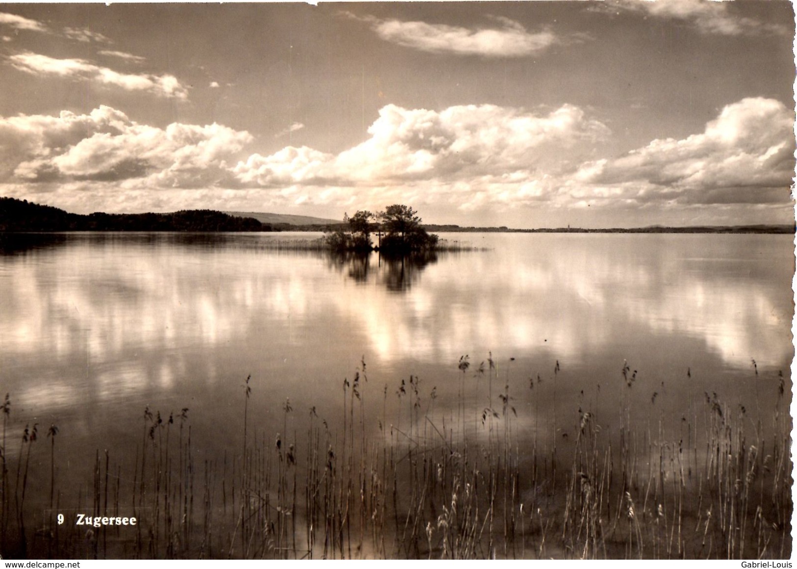 Zugersee (carte Grand Format ) - Zoug