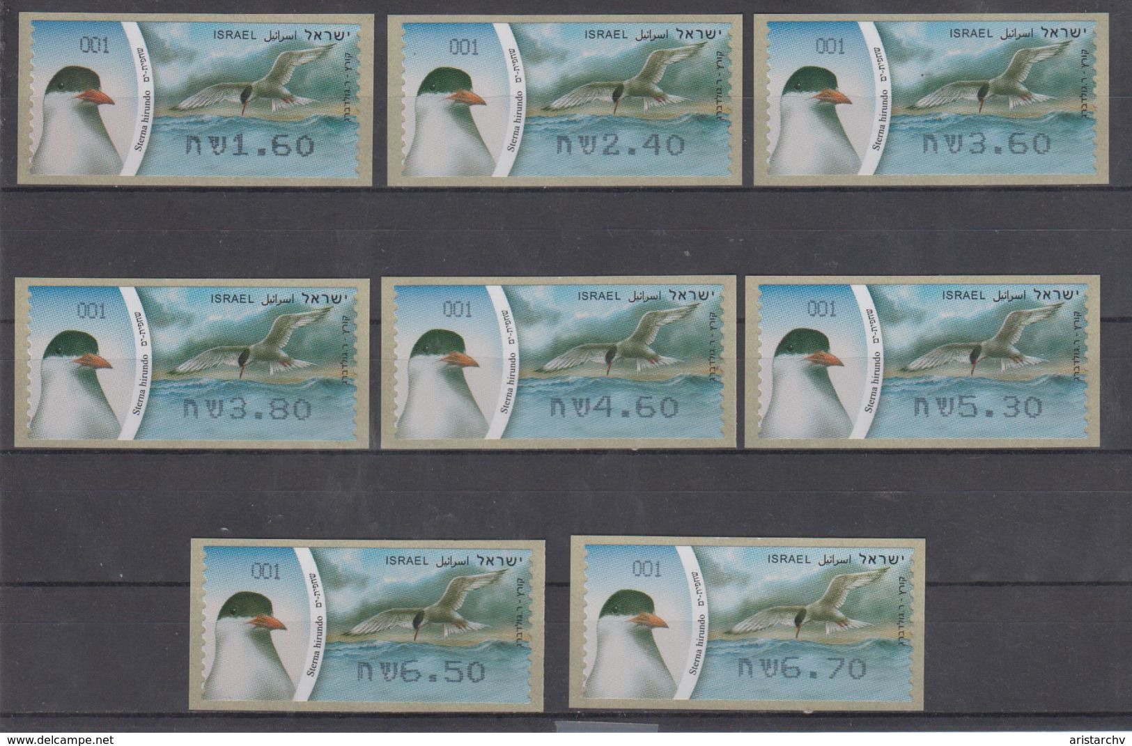 ISRAEL 2010 KLUSSENDORF ATM BIRD STERNA HIRUNDO COMMON TERN FULL SET OF 8 STAMPS - Frankeervignetten (Frama)