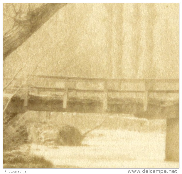 France Pyrenees Pont De Gerve à Bagneres De Bigorre Ancienne Photo CDV 1872 - Old (before 1900)