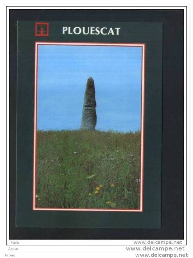 29   PLOUESCAT  Le Menhir De Porznegern - Plouescat