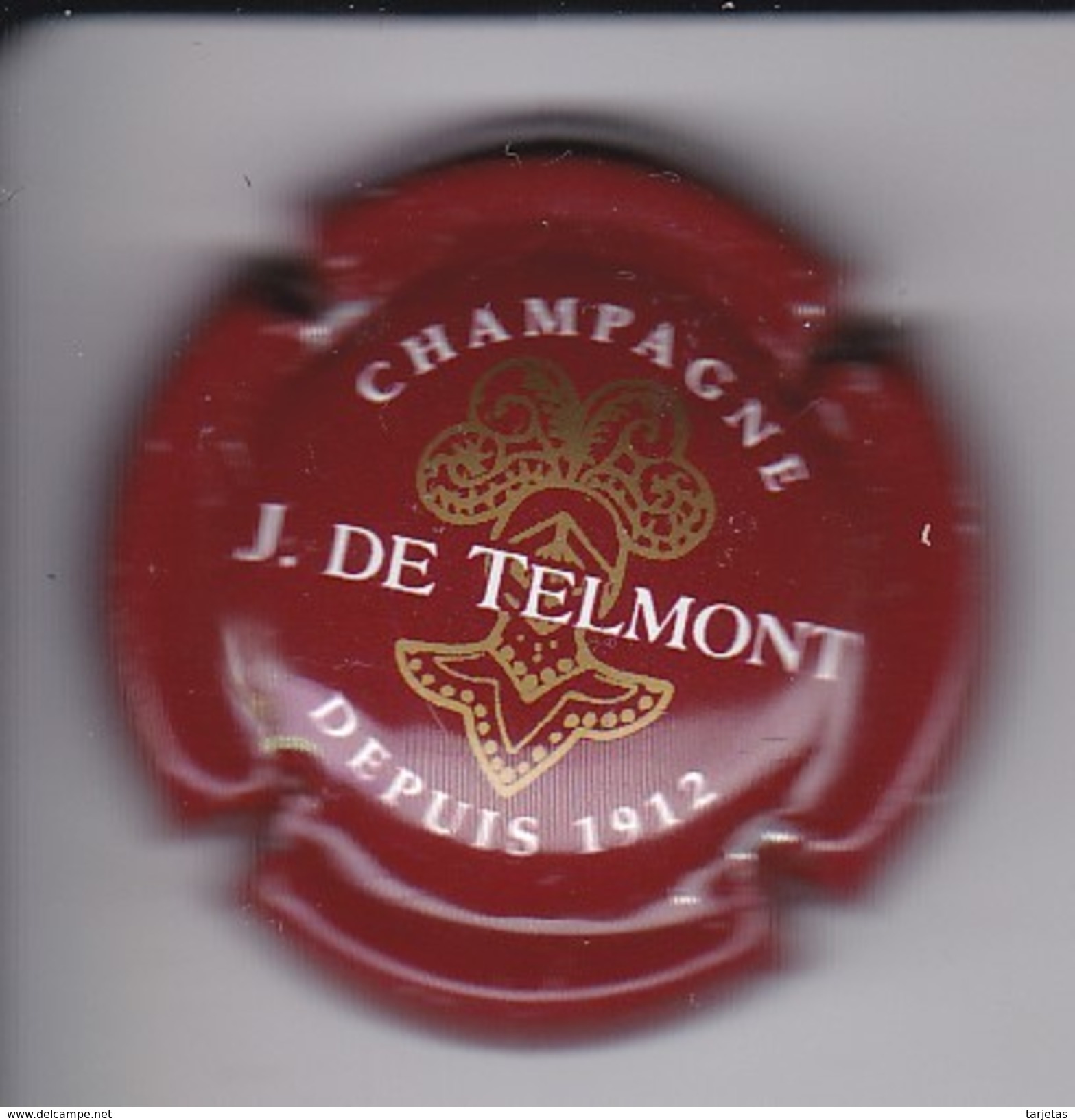 PLACA DE CHAMPAGNE J. DE TELMONT (CAPSULE) - Otros & Sin Clasificación