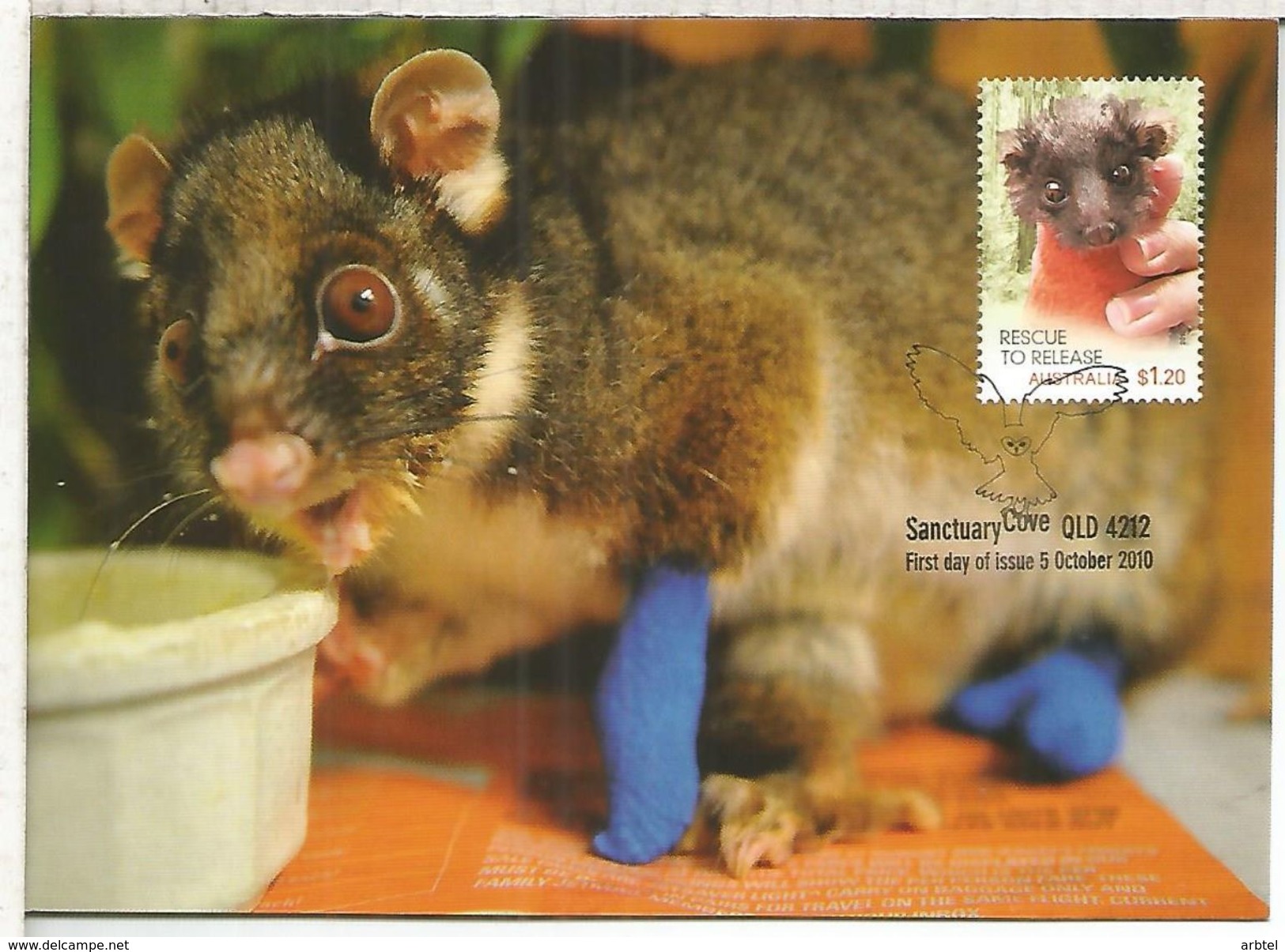 AUSTRALIA ENTERO POSTAL Y MAXIMA FAUNA POSSUM MAMIFERO ROEDOR - Roedores