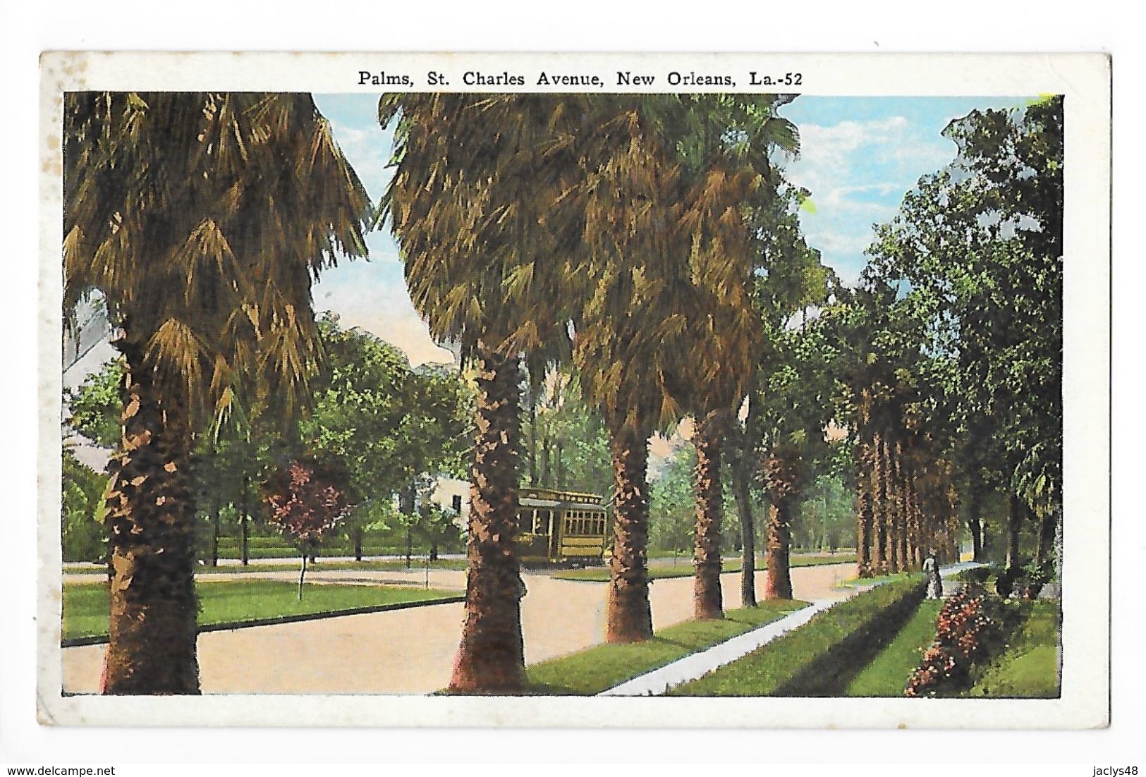 Palms, St Charles Avenue, NEW ORLEANS - Tramway -   - L 1 - New Orleans