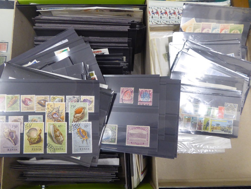 WORLD Incl. GB & Commonwealth M & U Ranges On Approx 450 Black Stock Cards. - Other & Unclassified