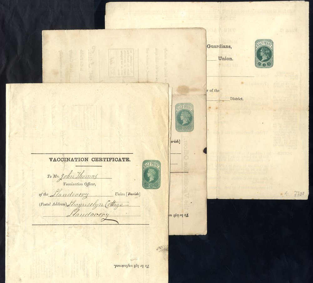 VACCINATION FORMS QV (15) & KEVII (1) Incl. One In Welsh. Scarce Items, Mixed Condition. - Other & Unclassified