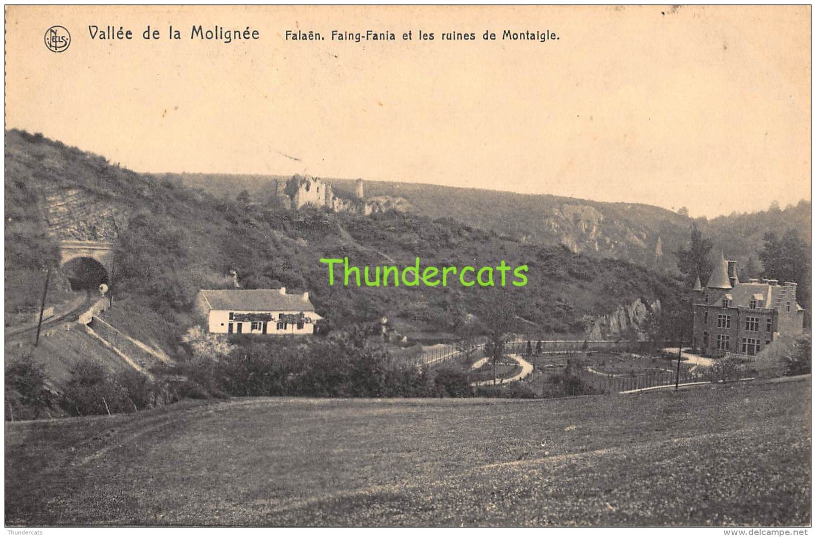 CPA  VALLEE DE LA MOLIGNEE FALAEN FAING FANIA ET LES RUINES DE MONTAIGLE - Onhaye