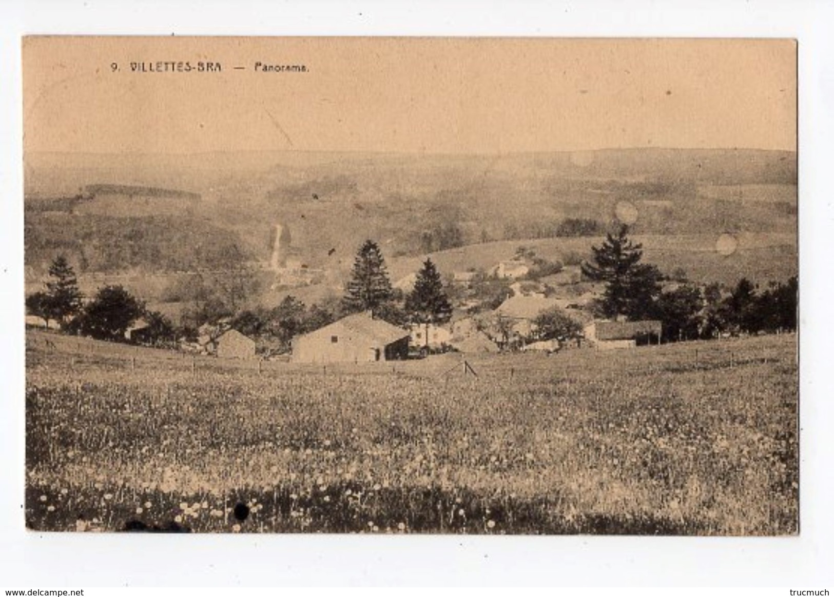 19 - BRA-SUR- LIENNE - Villettes - Panorama  *Edit. H. Pirotte N° 9* - Lierneux